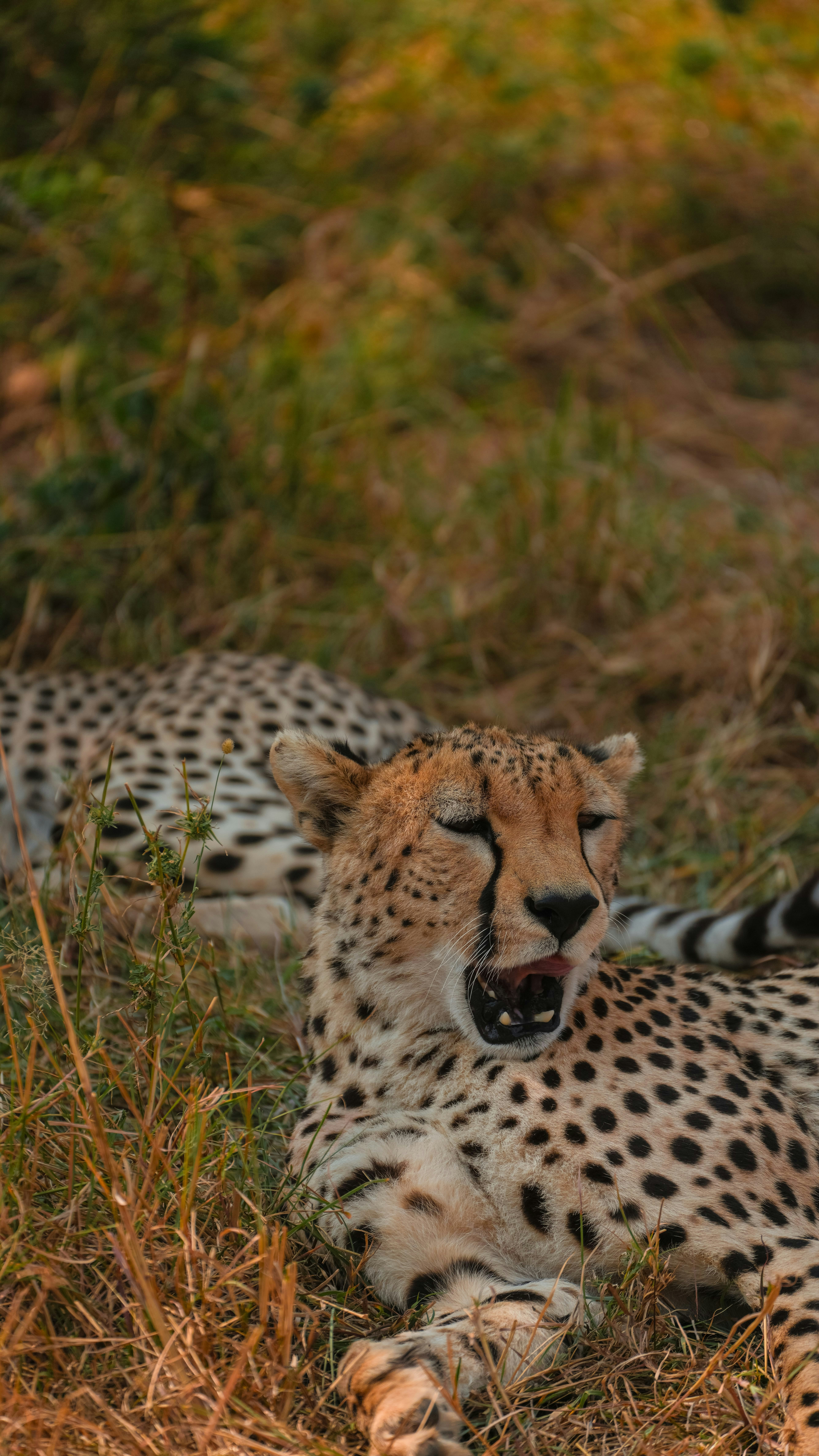 Photo by alexningphotography