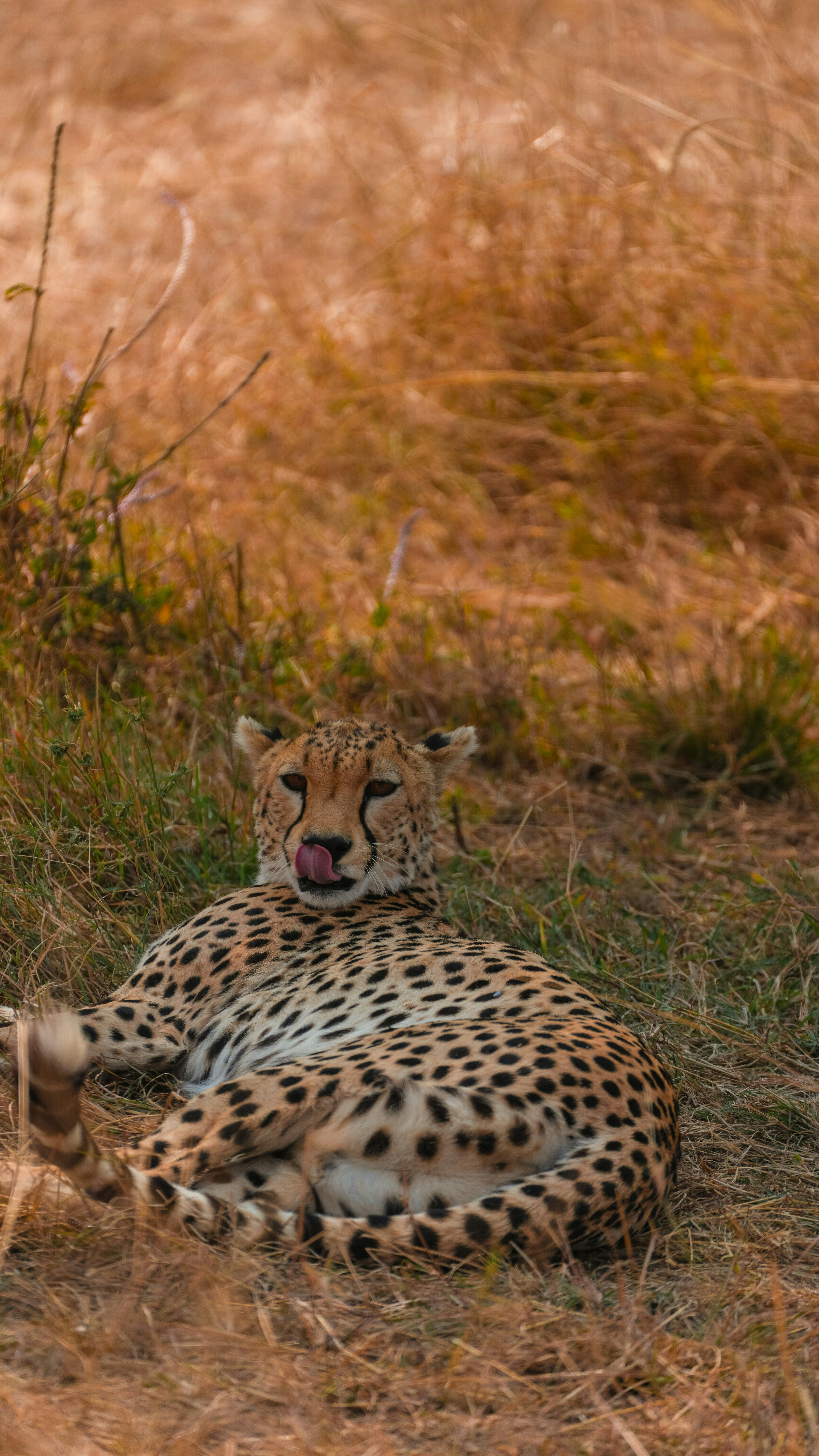 Photo by alexningphotography