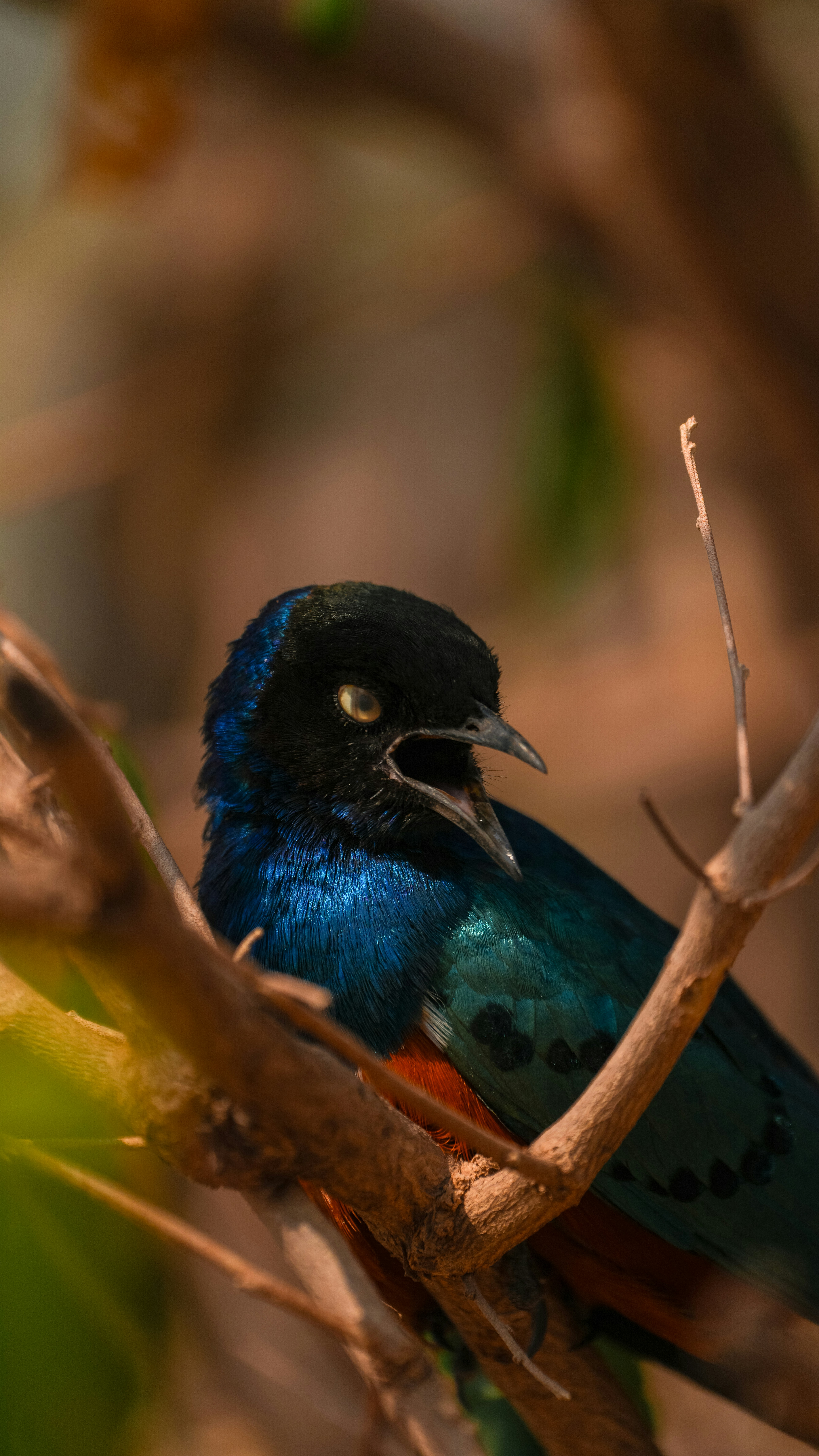 Photo by alexningphotography