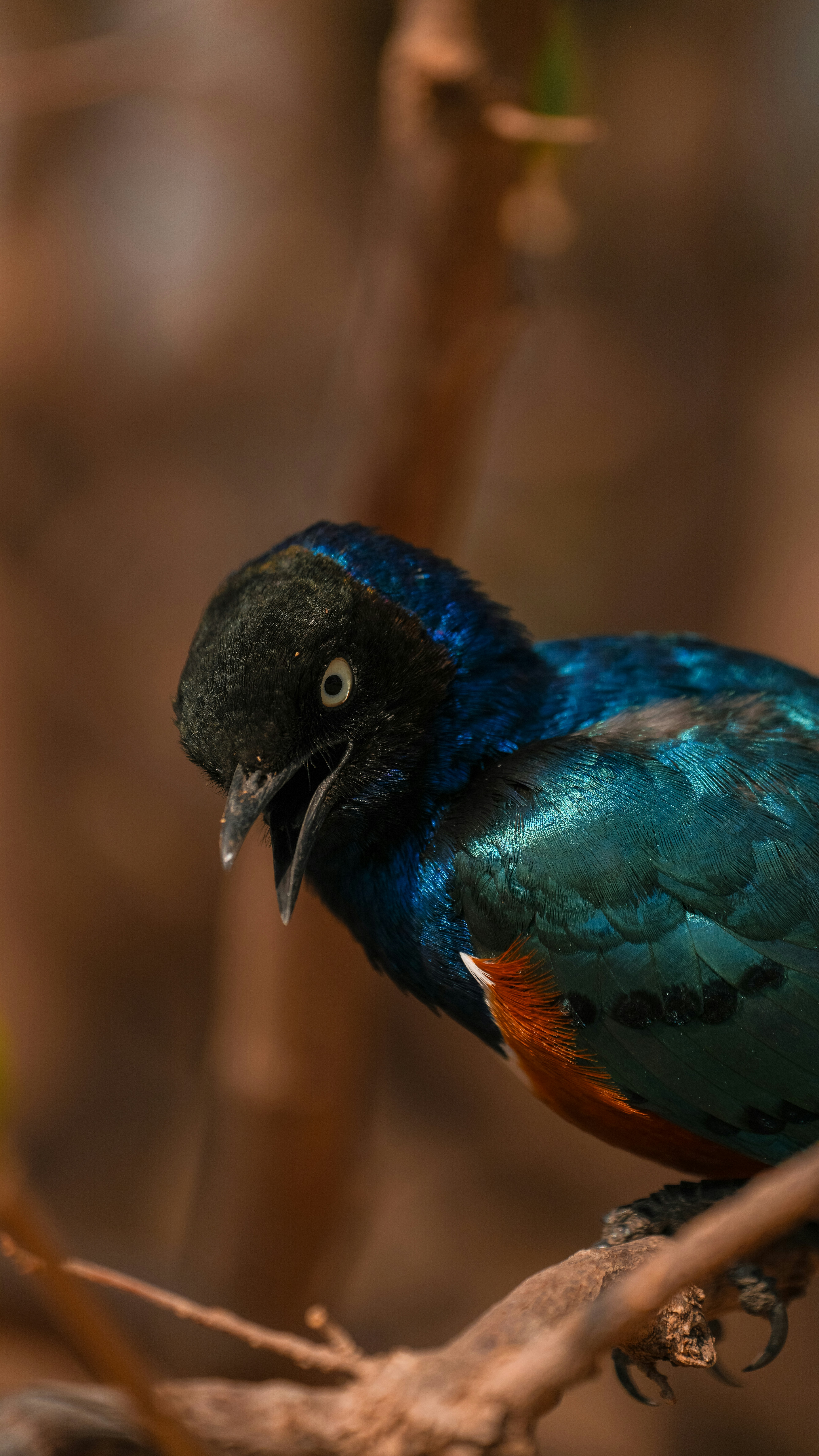 Photo by alexningphotography