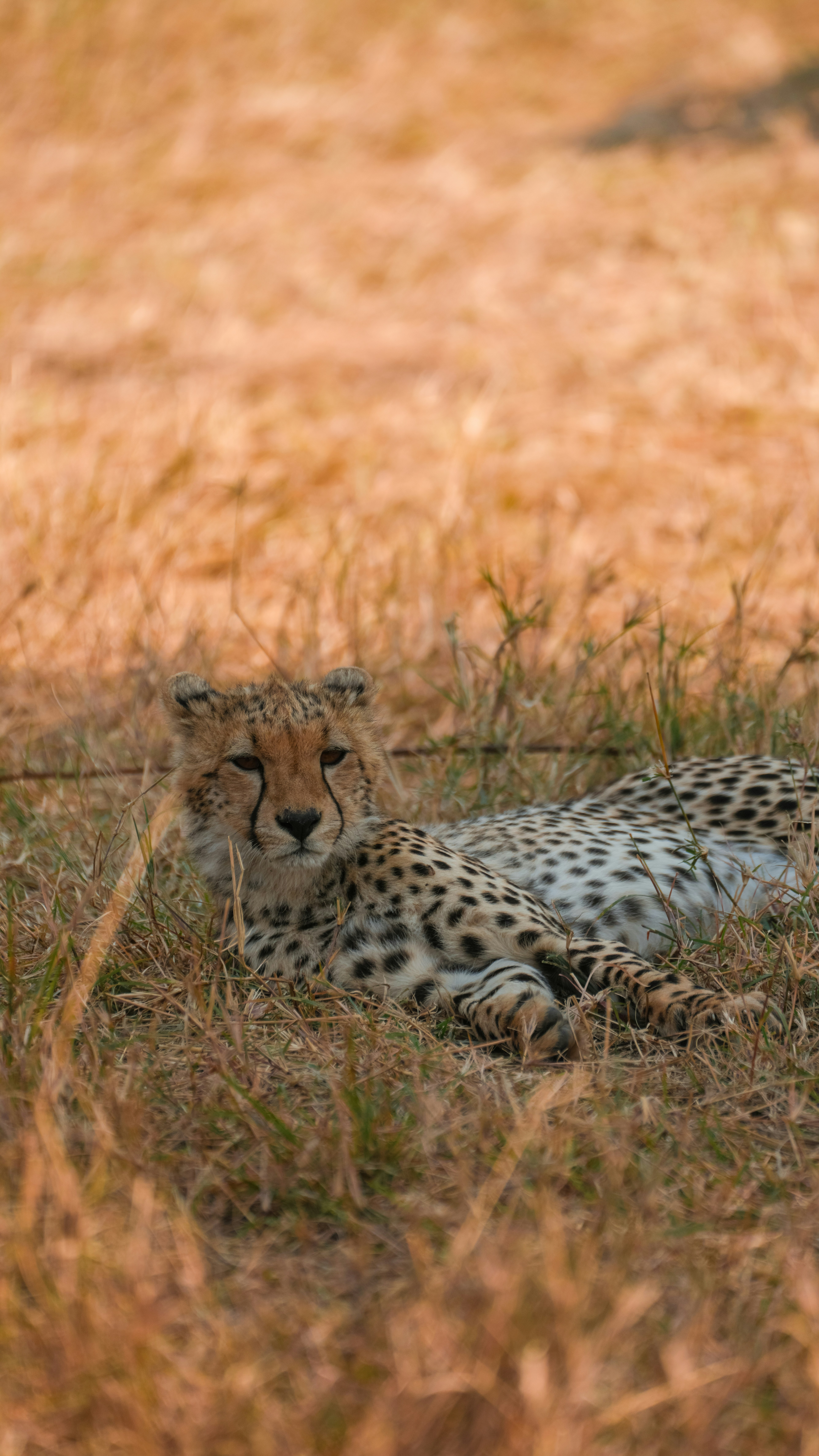 Photo by alexningphotography