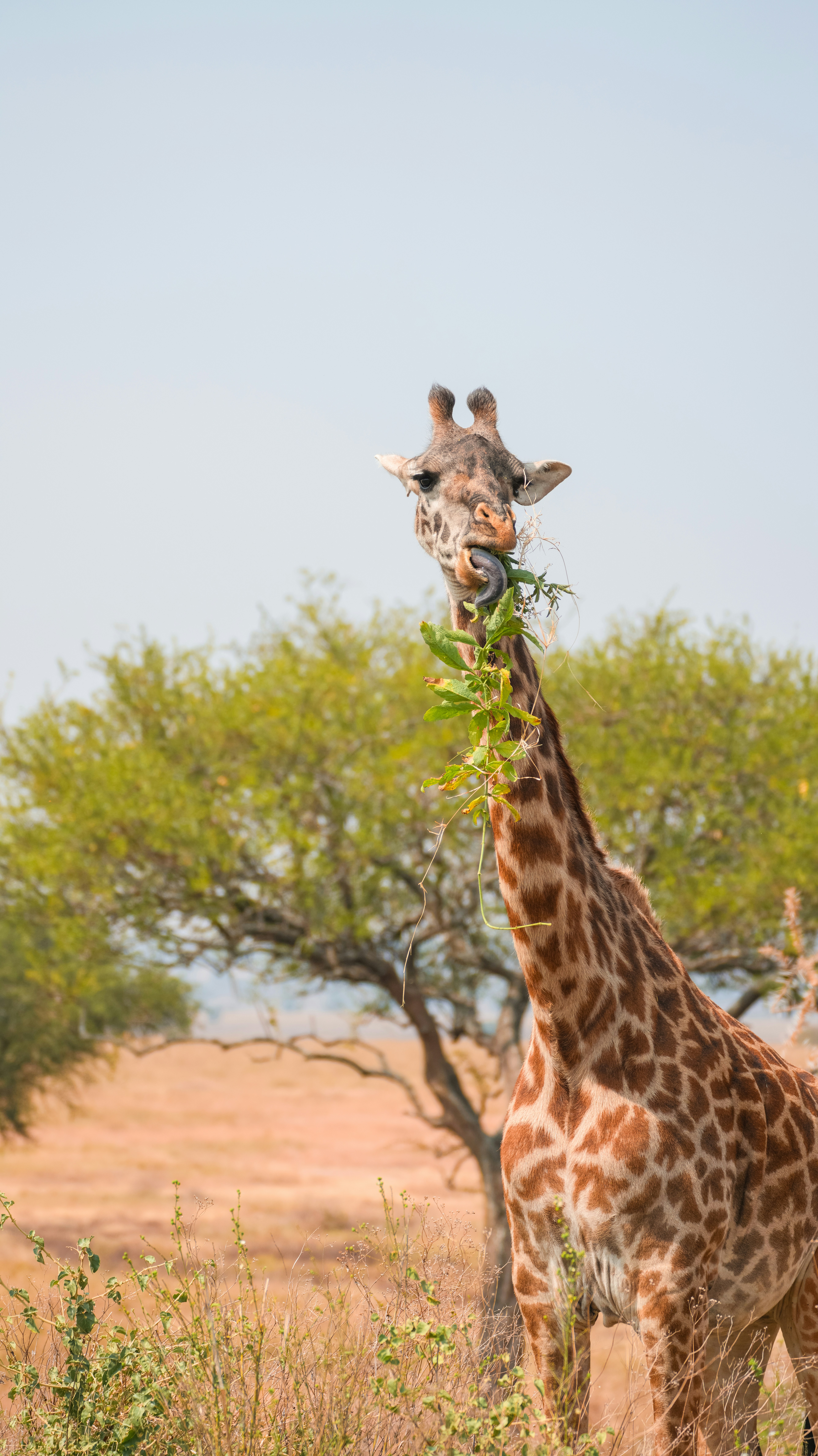 Photo by alexningphotography