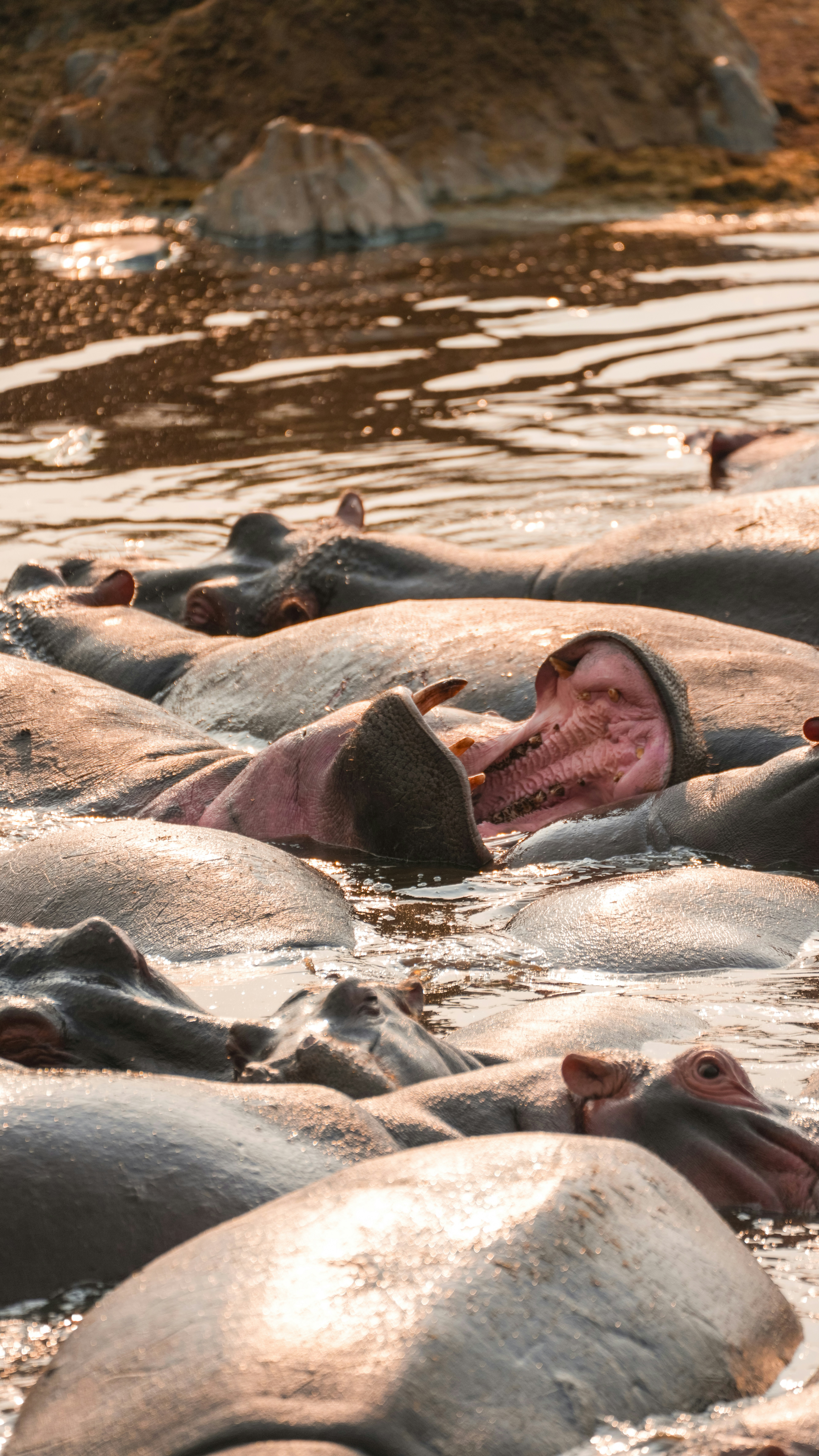 Photo by alexningphotography