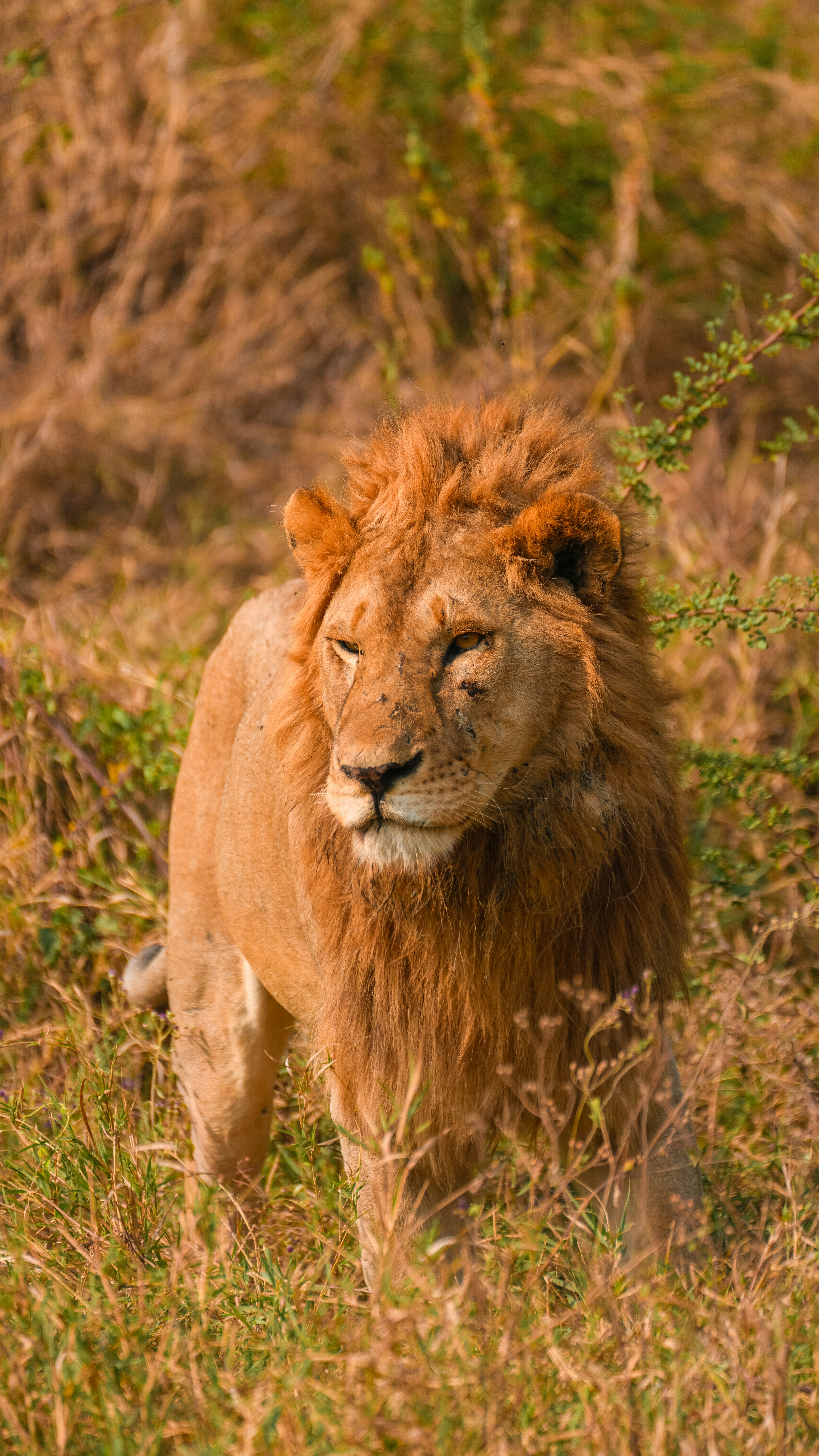 Photo by alexningphotography