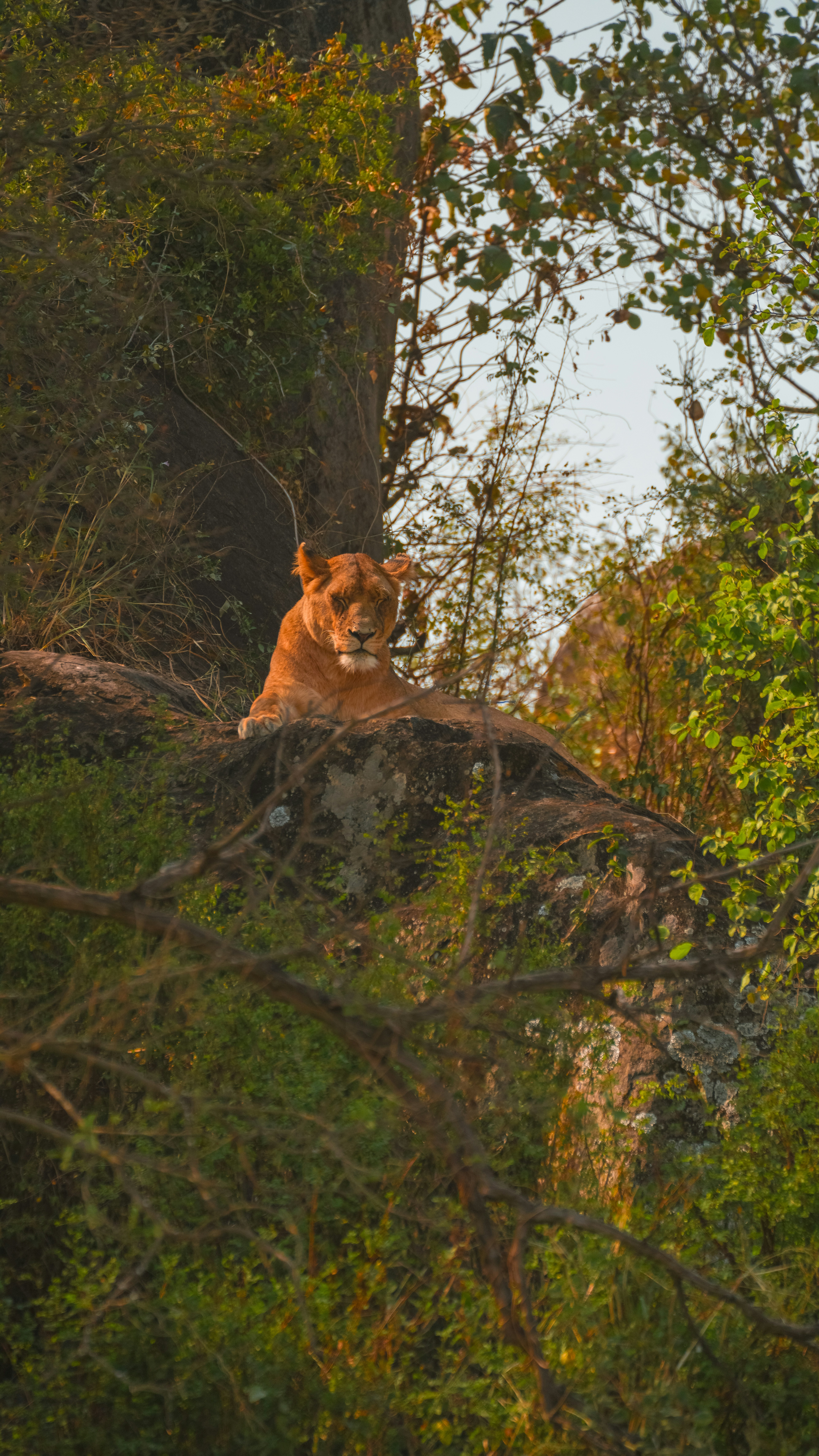 Photo by alexningphotography