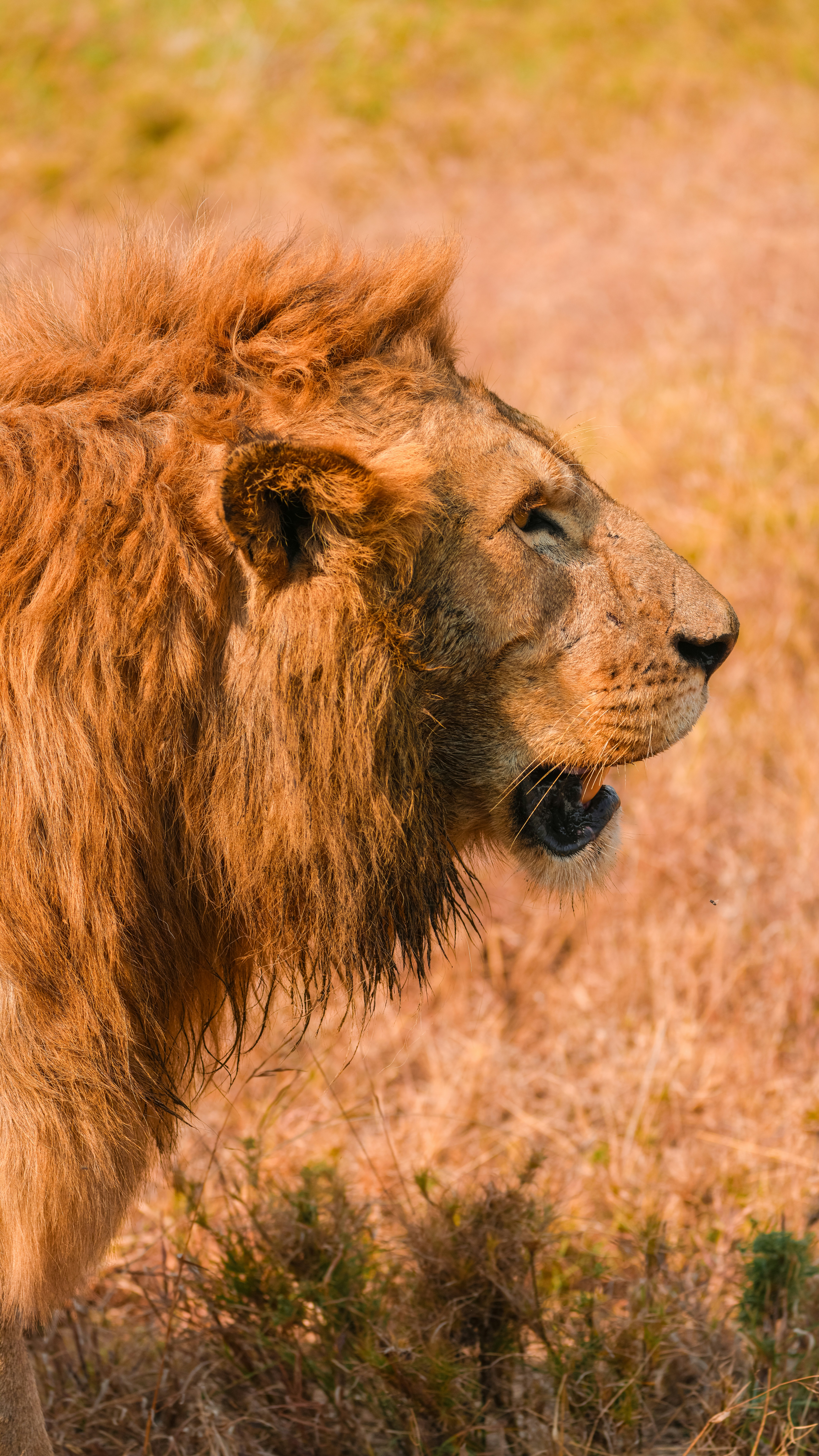 Photo by alexningphotography