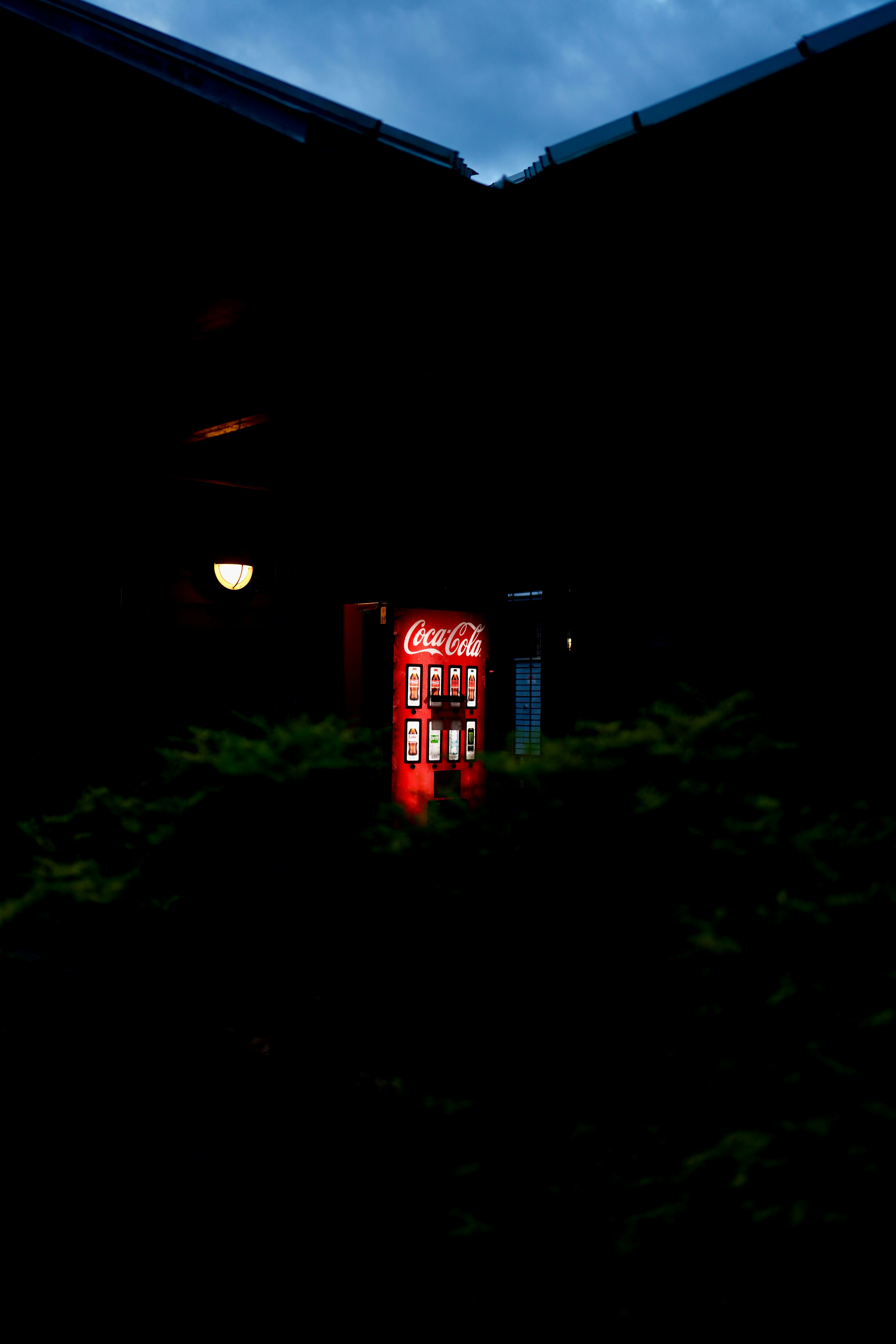 Photo by joeyzzz