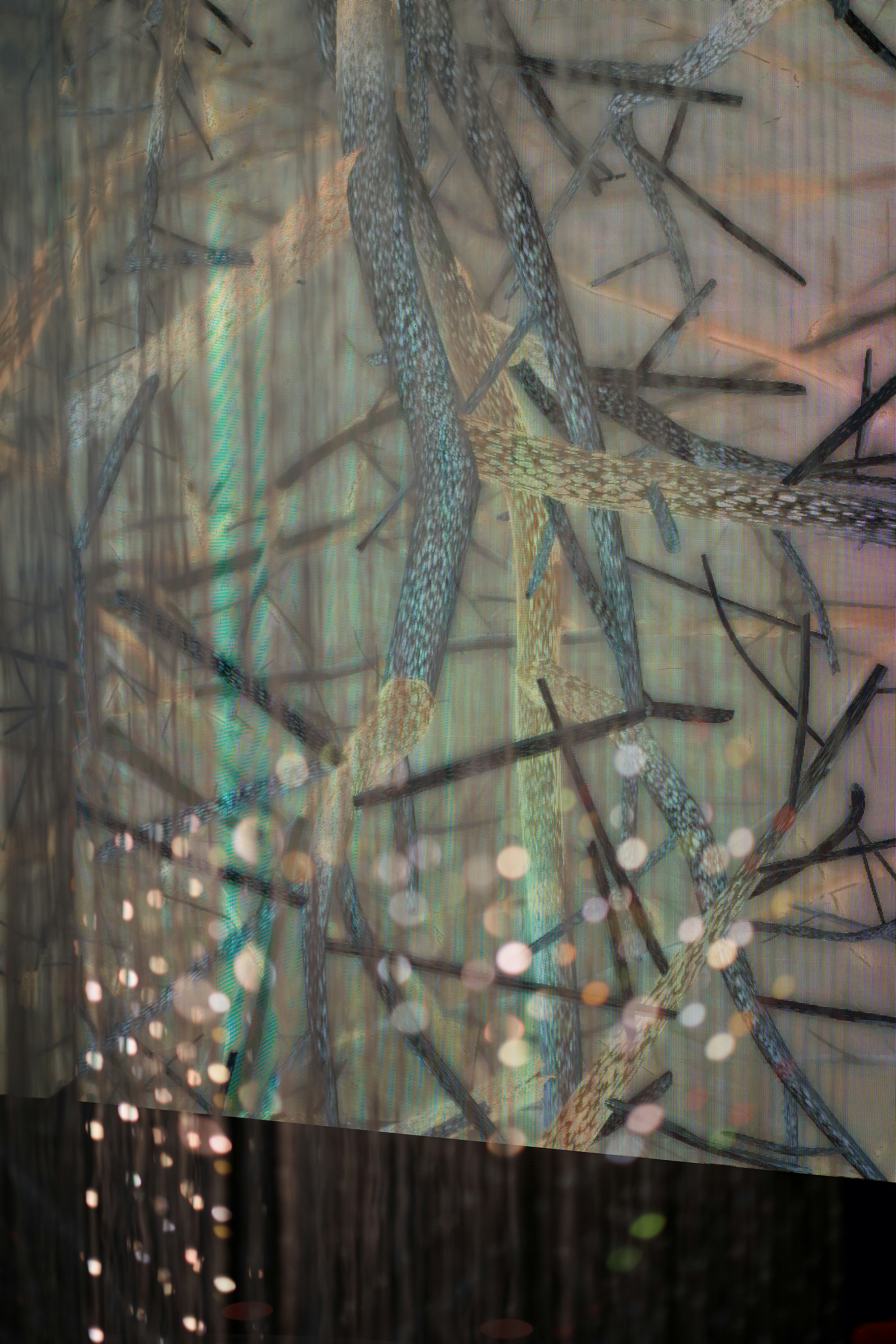 Photo by anamnesis33