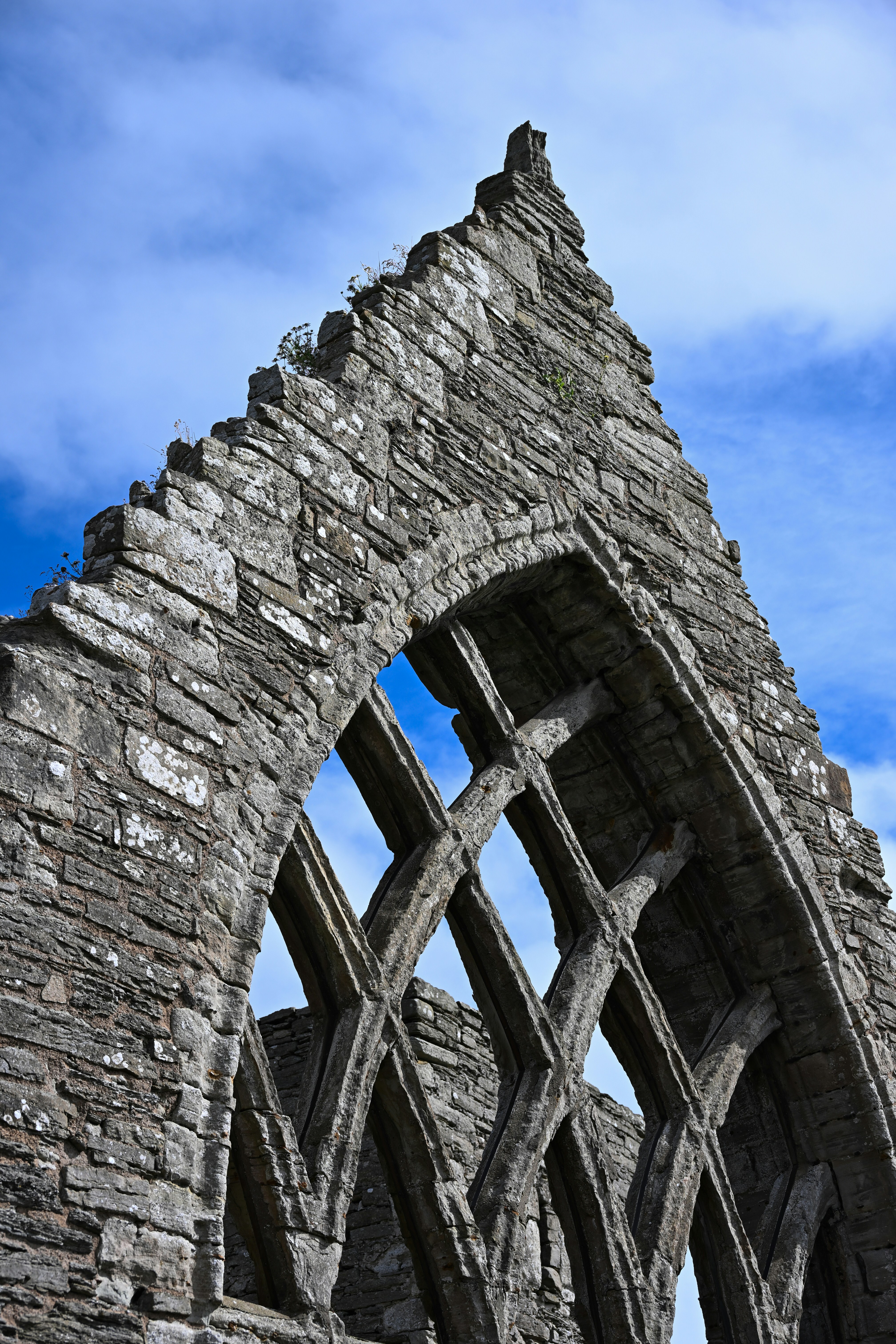 Photo by justmejuliee