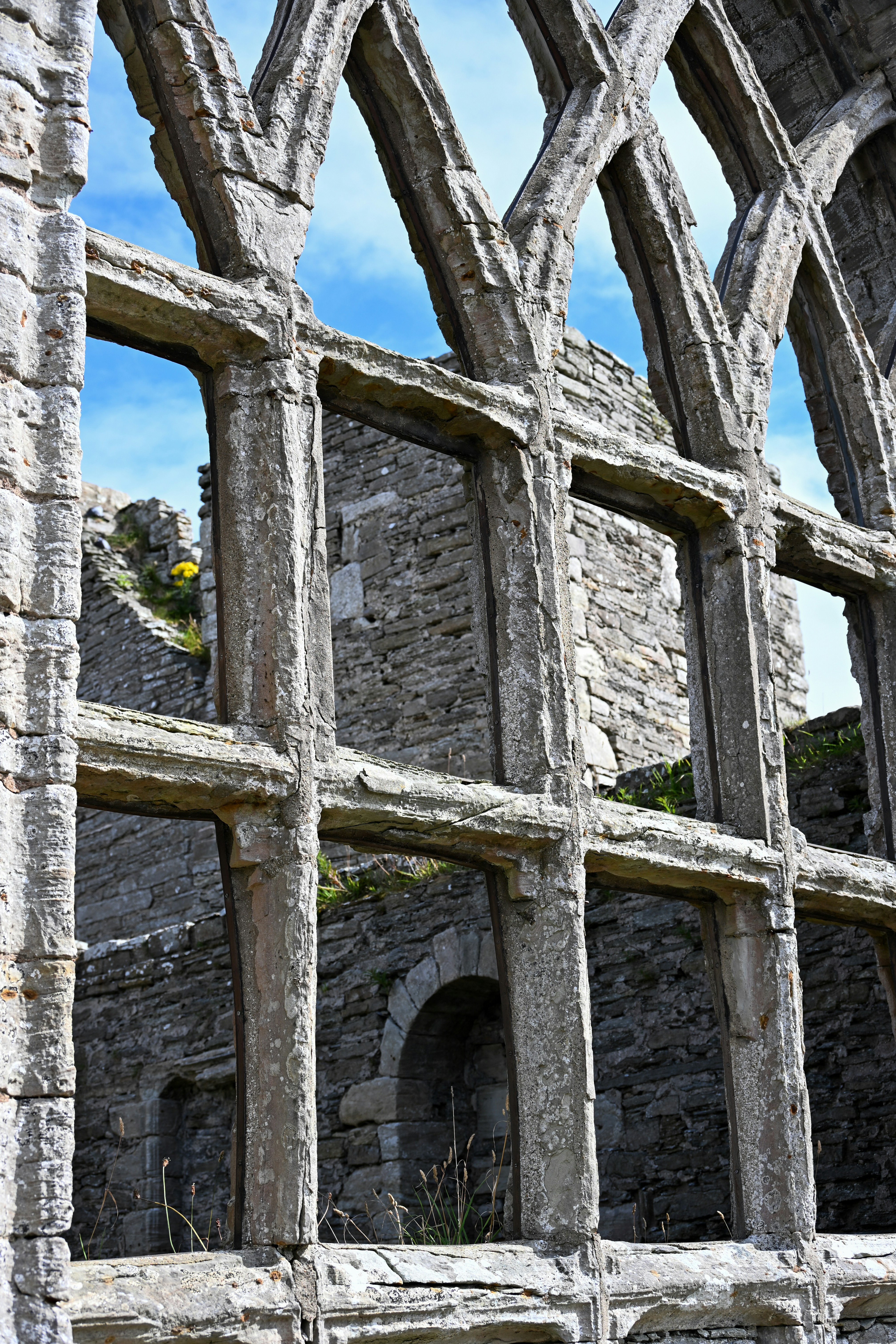 Photo by justmejuliee