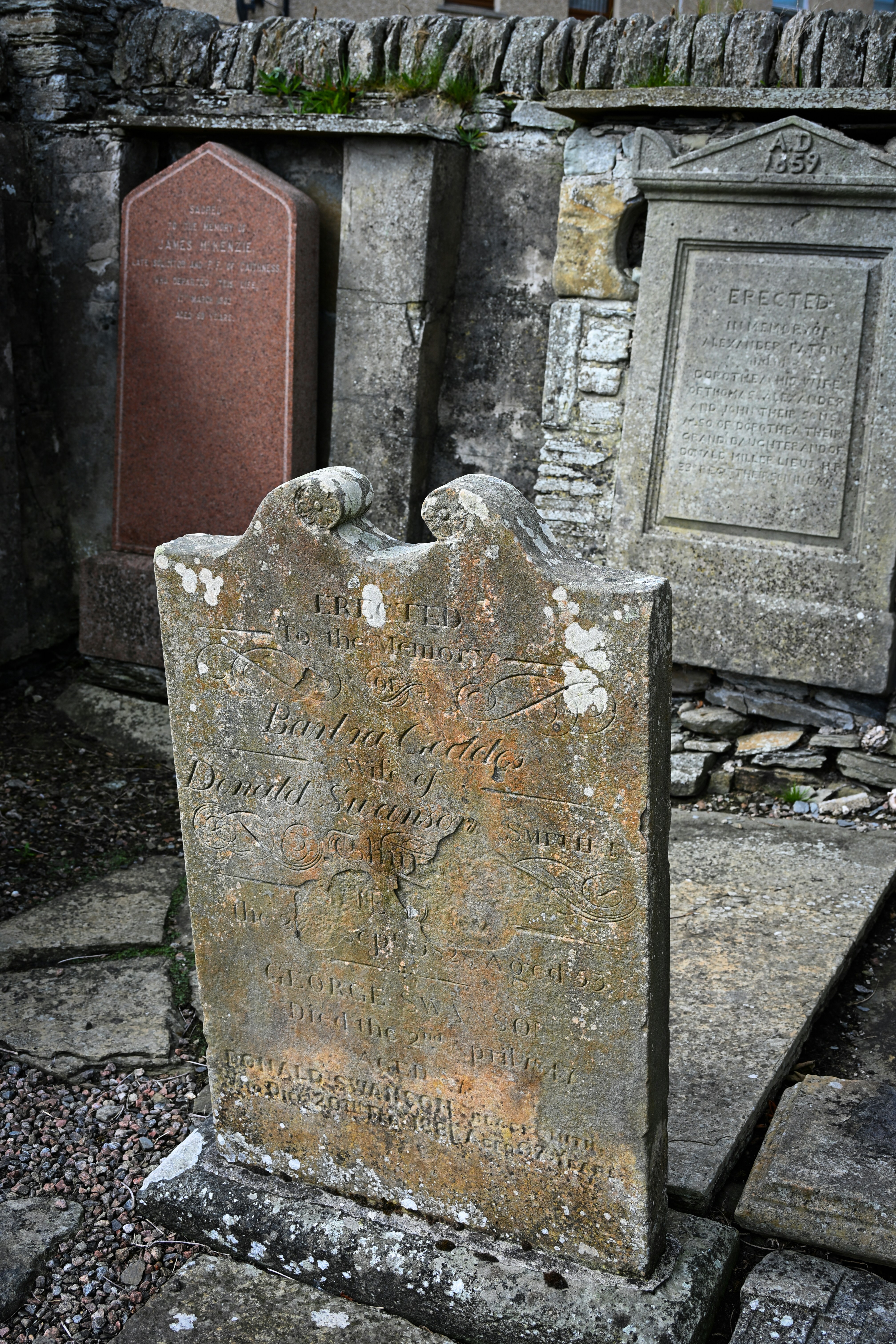 Photo by justmejuliee