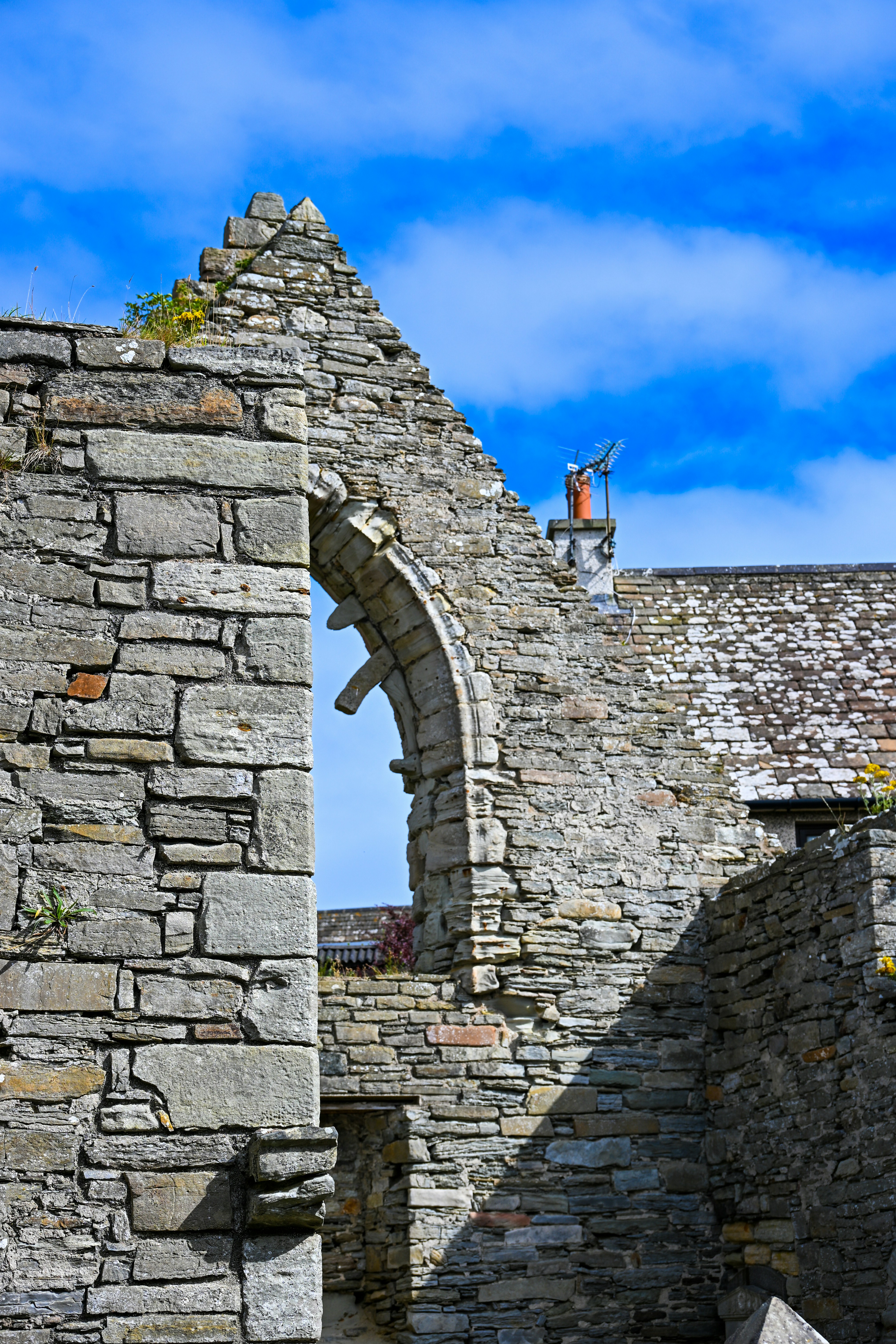 Photo by justmejuliee