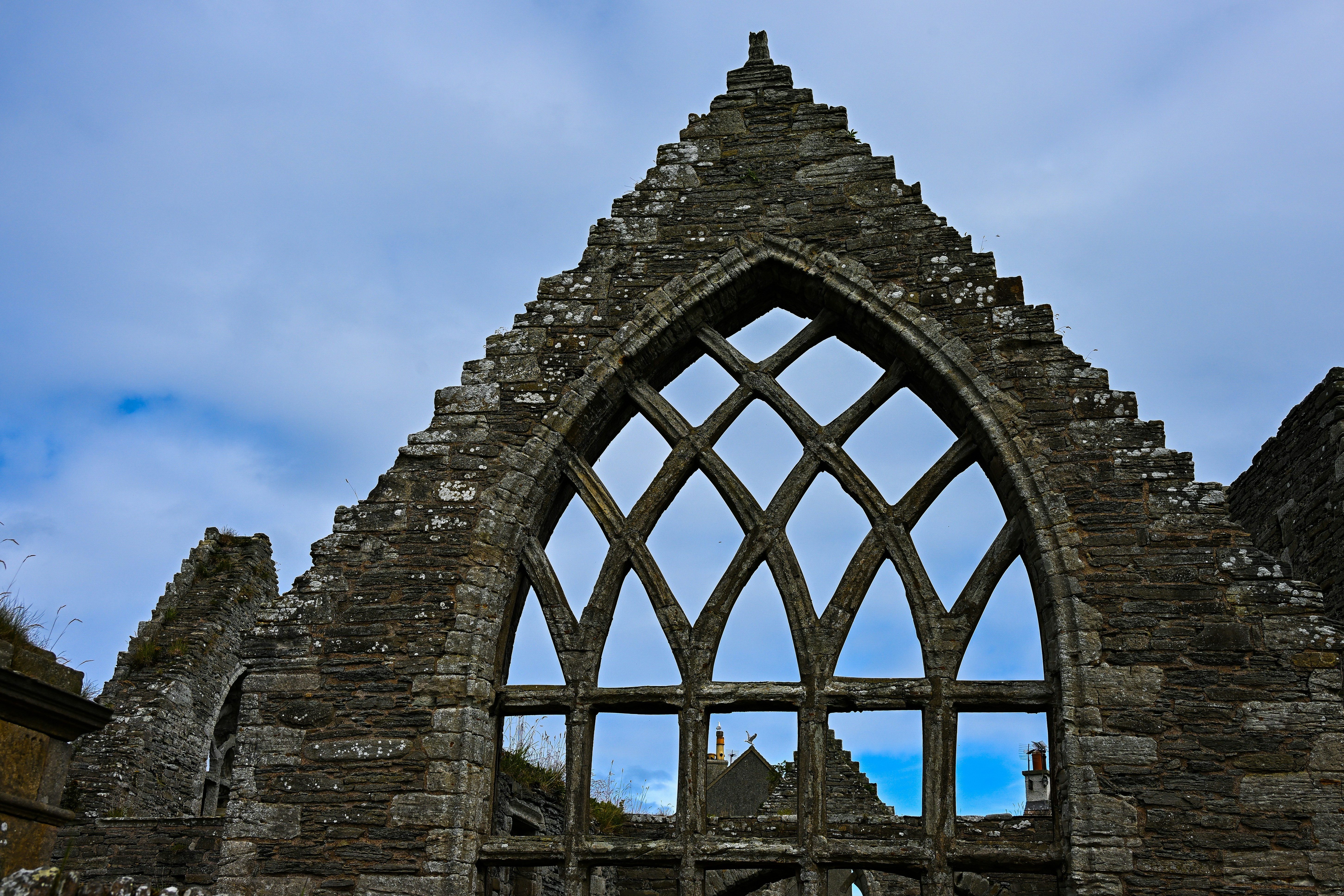 Photo by justmejuliee