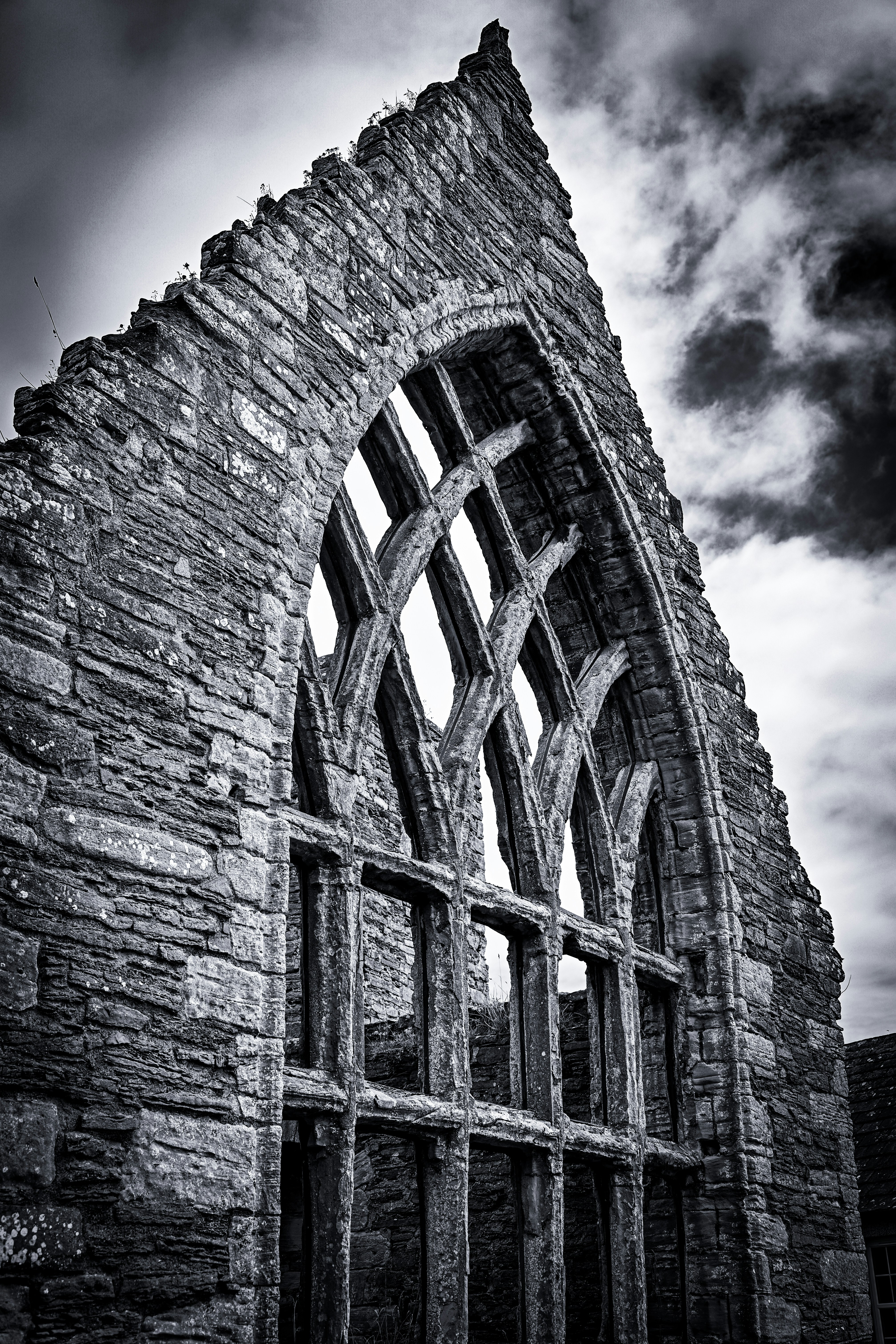 Photo by justmejuliee