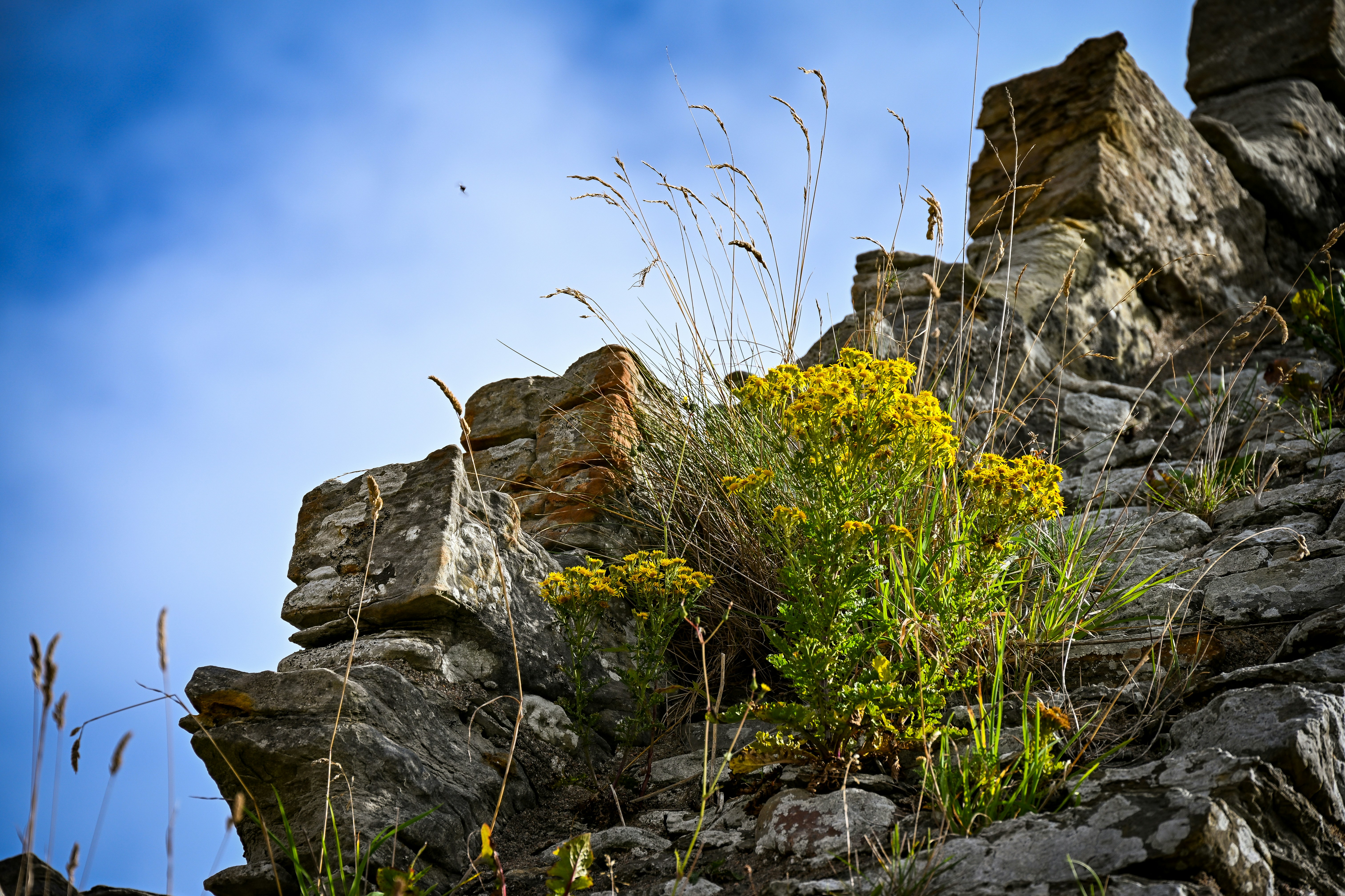 Photo by justmejuliee