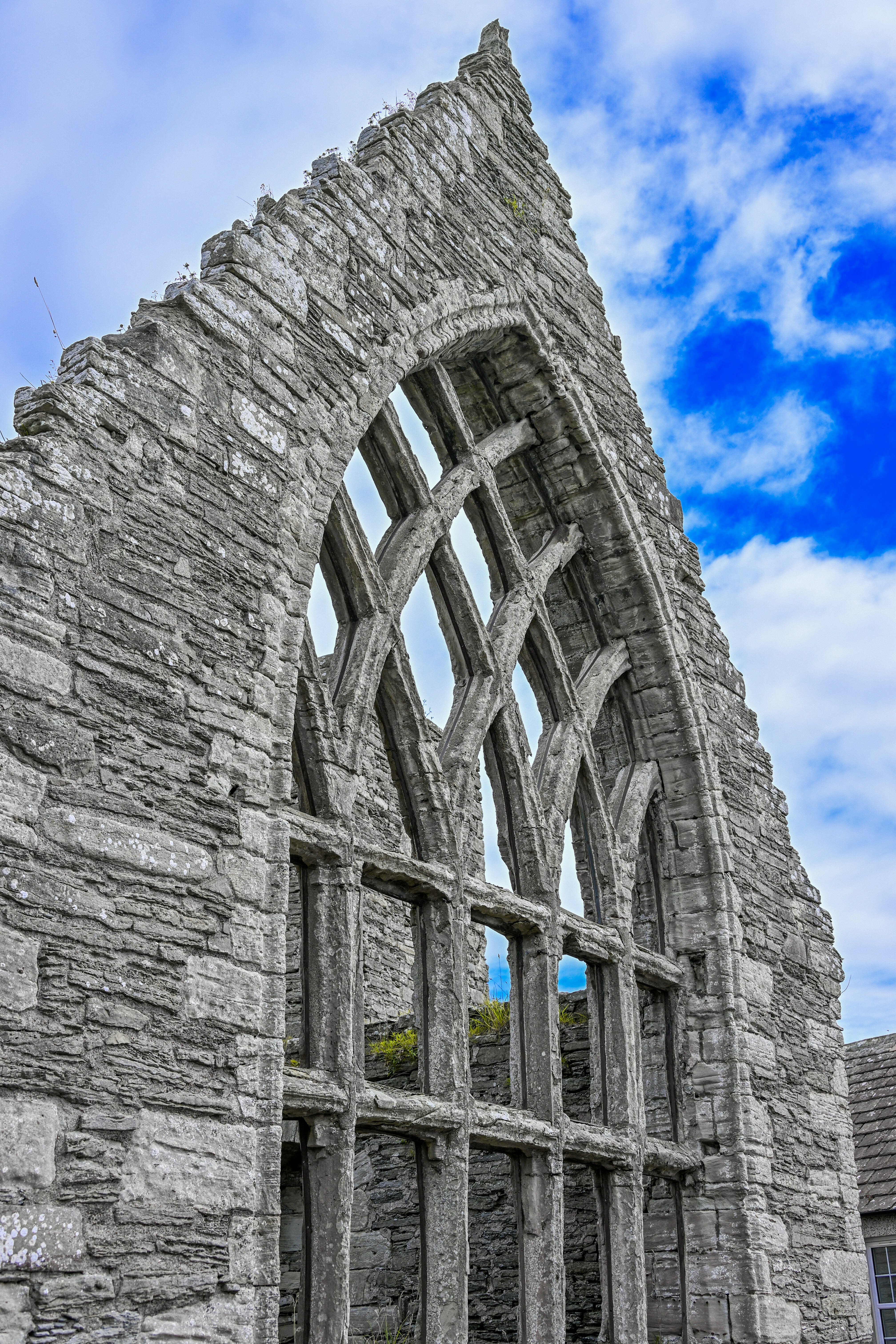 Photo by justmejuliee