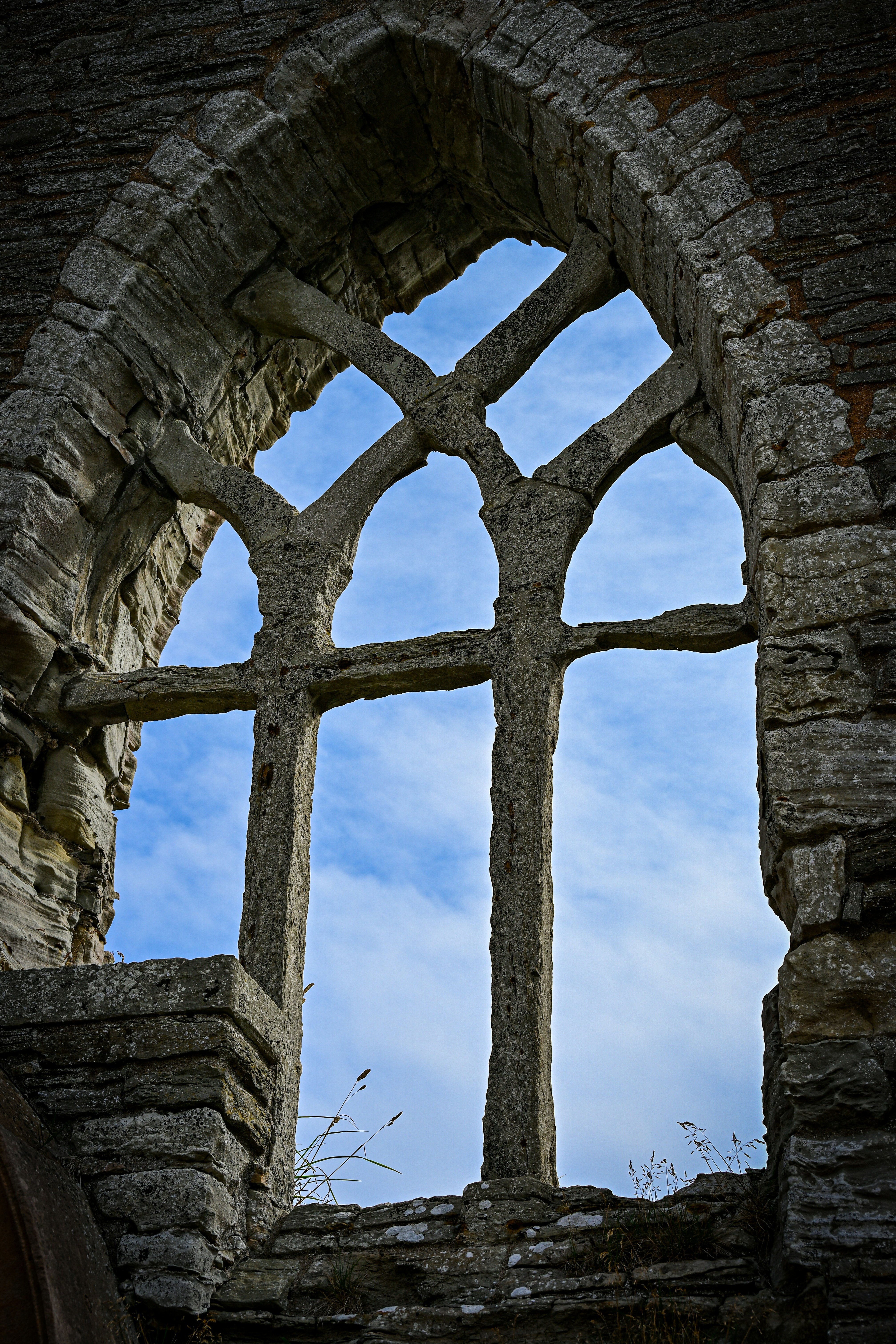 Photo by justmejuliee