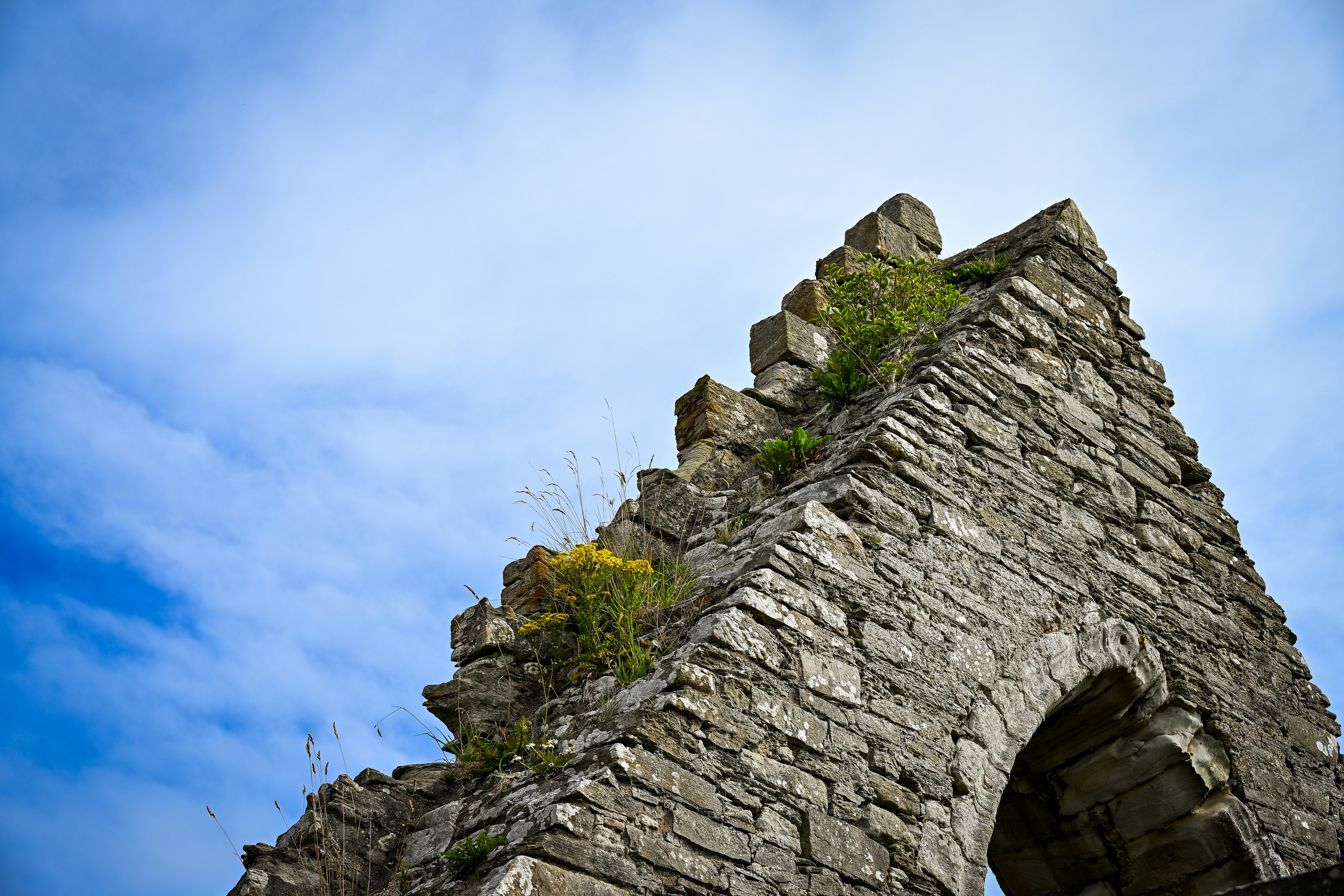 Photo by justmejuliee