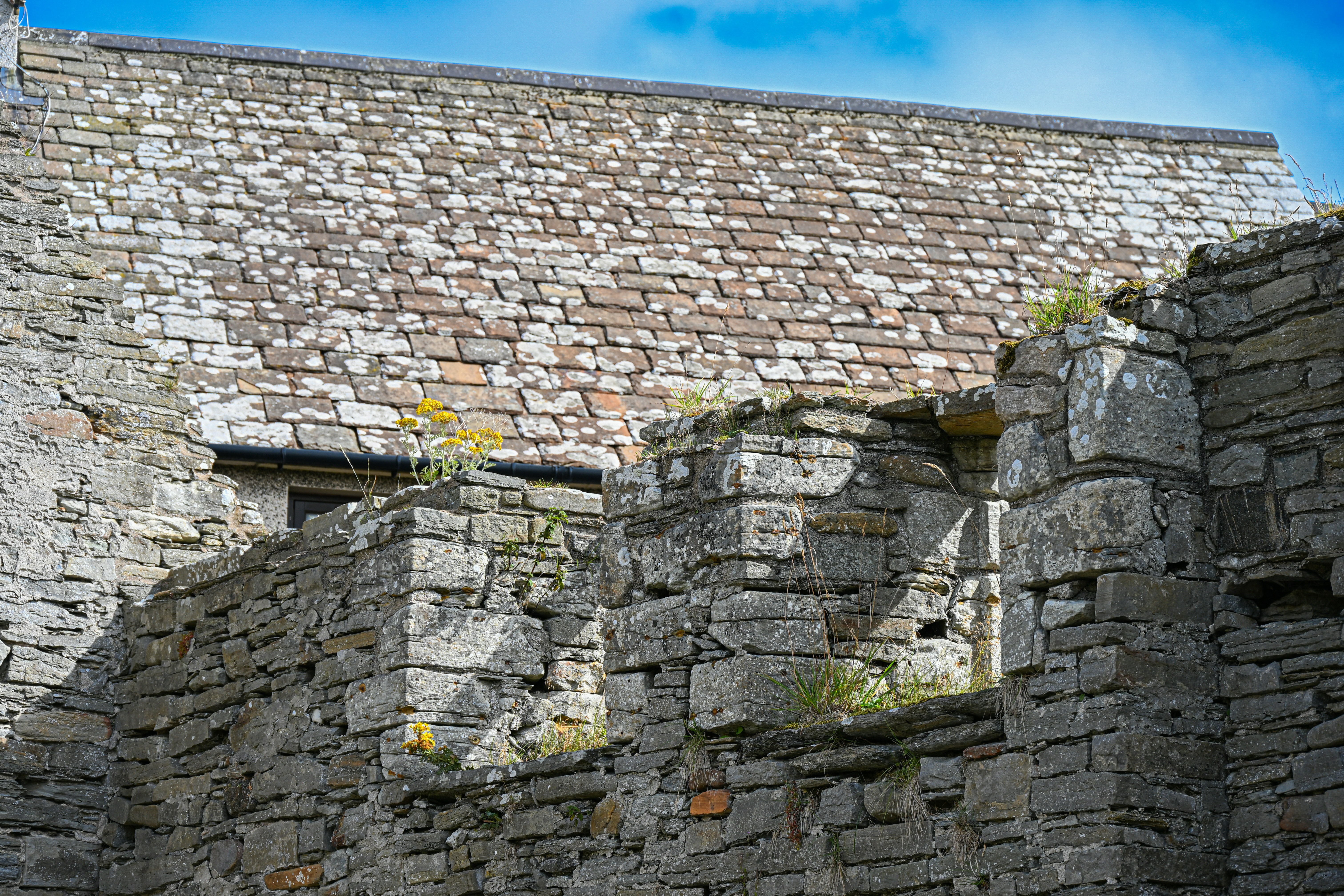 Photo by justmejuliee