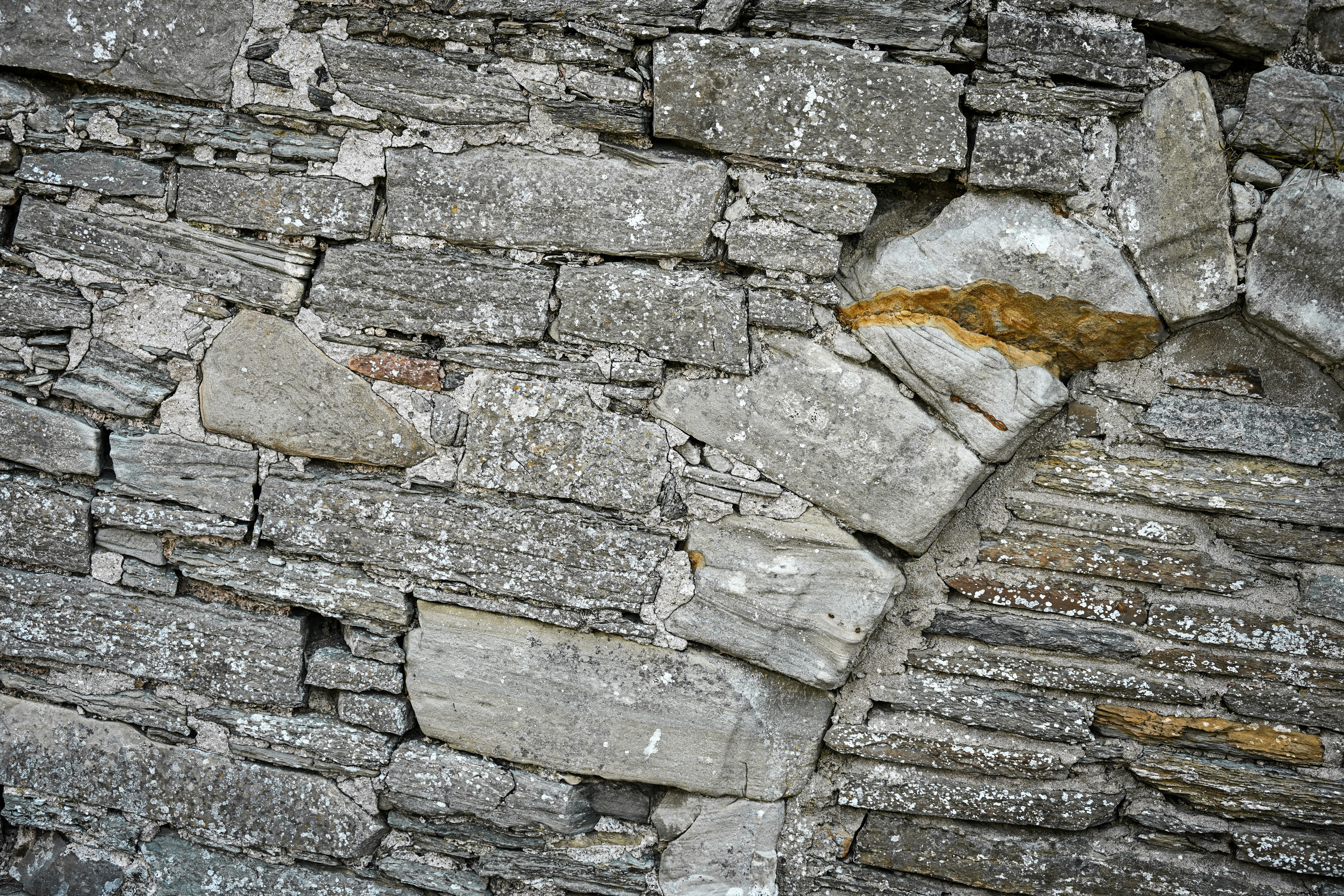 Photo by justmejuliee