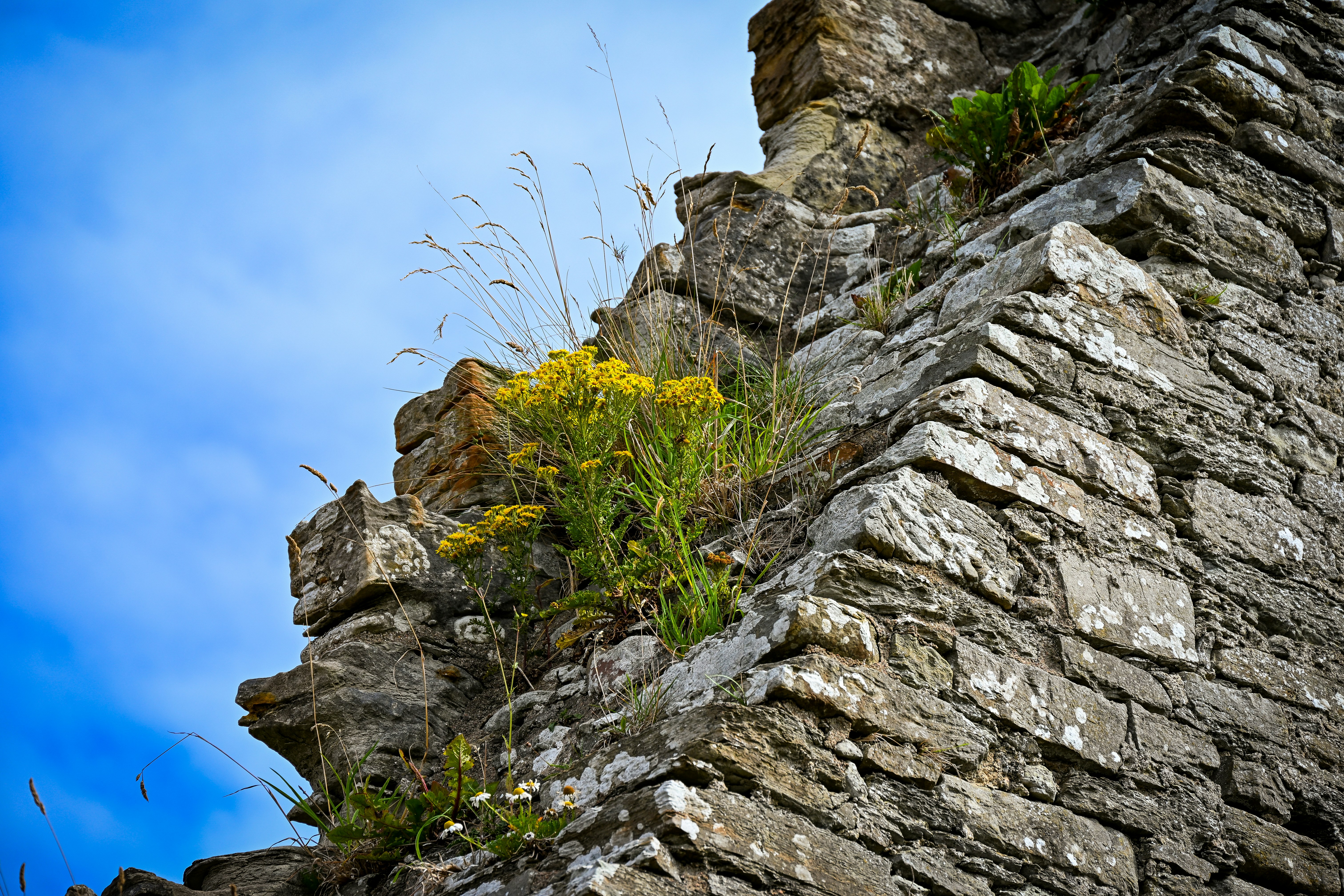 Photo by justmejuliee