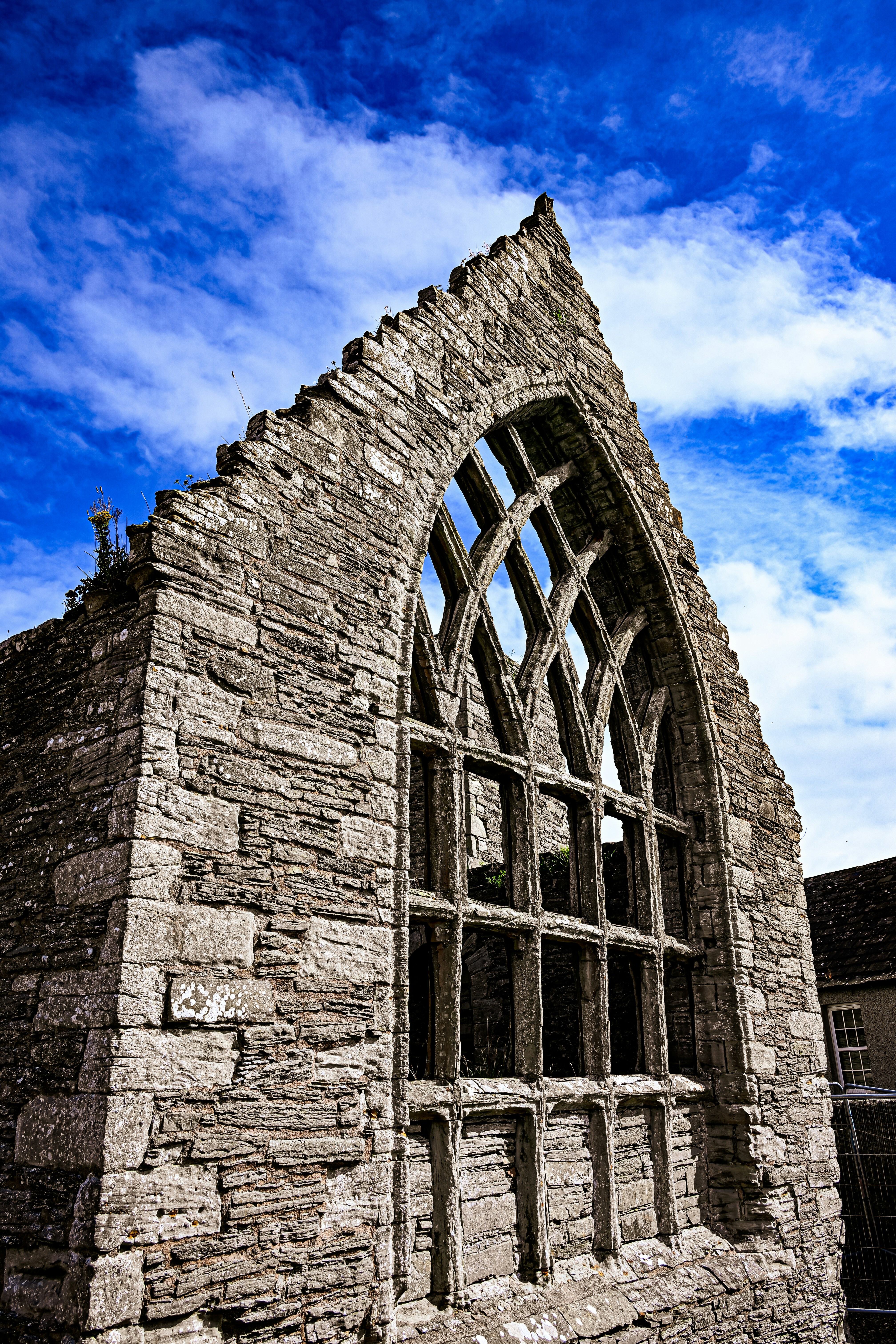 Photo by justmejuliee