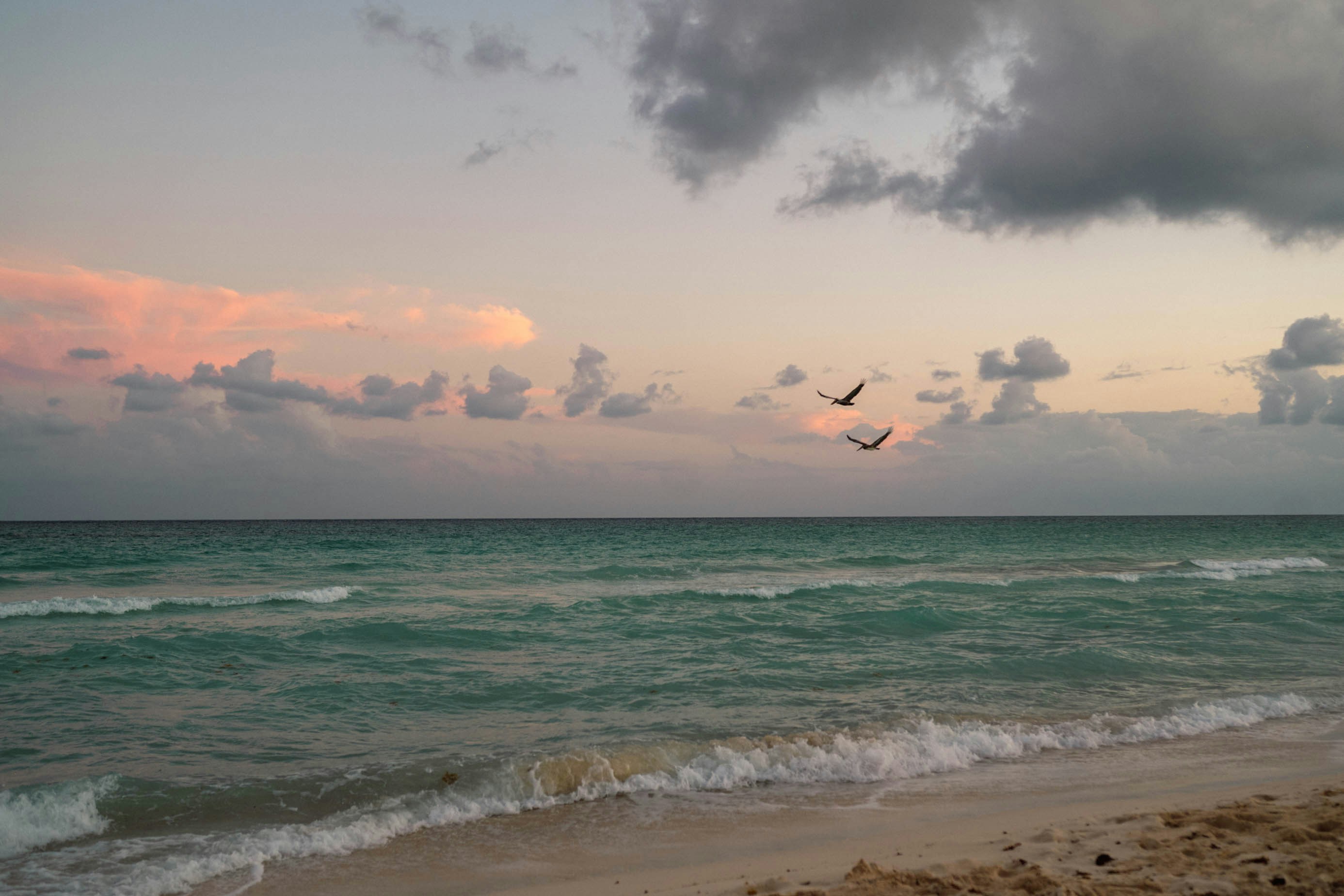 Hoodies Beneath the Hood: The Comprehensive Vehicle Fan's Manual