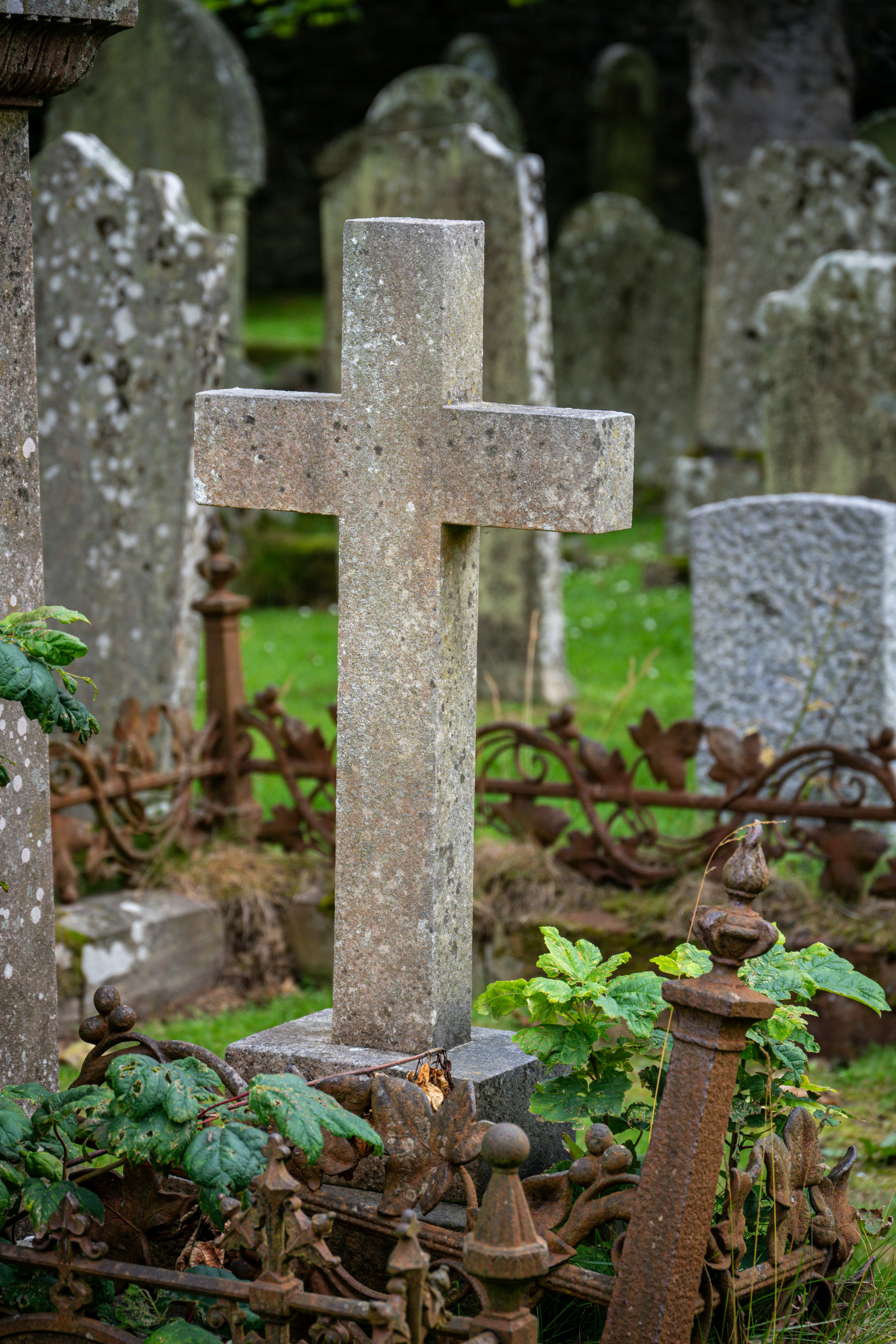 Photo by justmejuliee