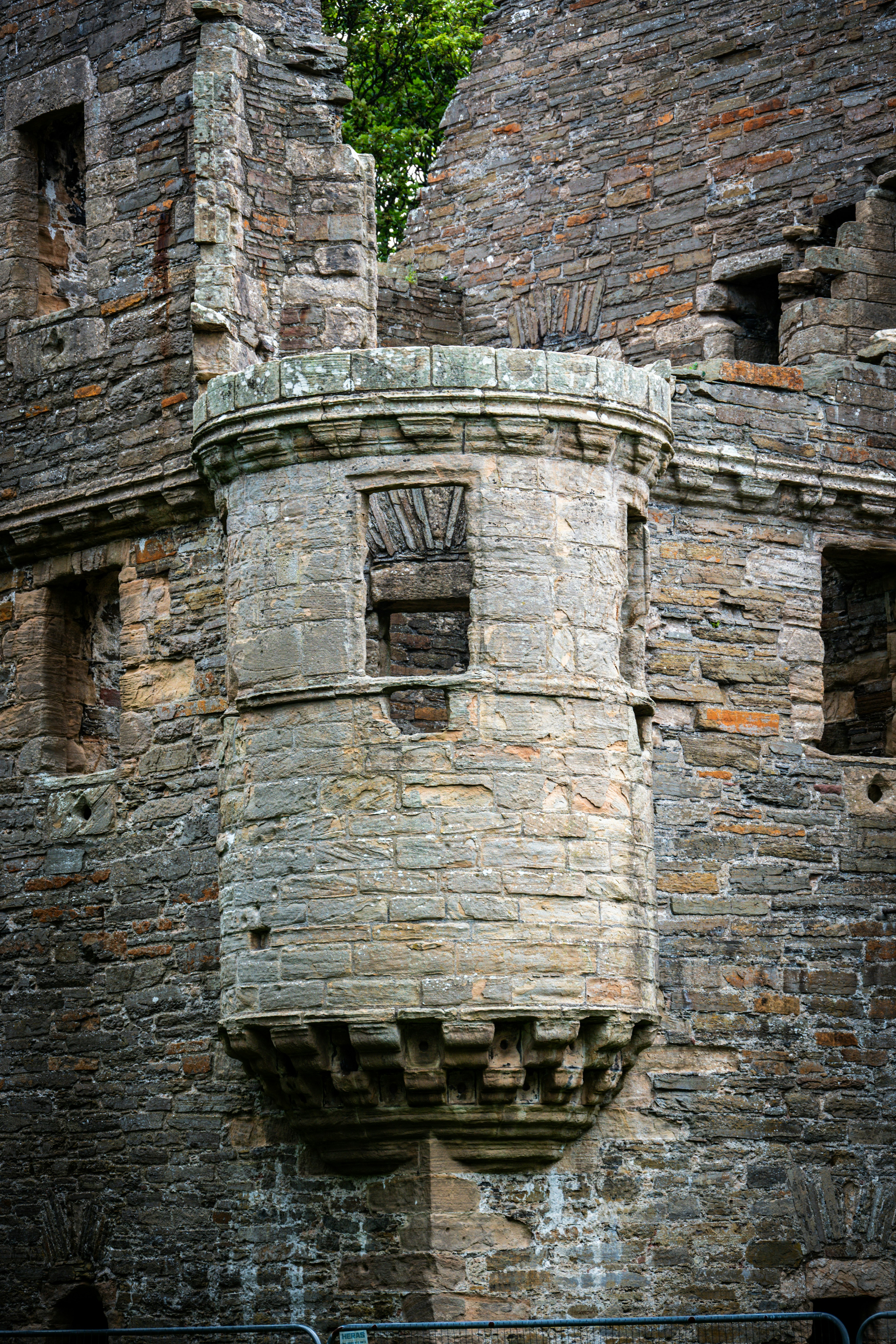 Photo by justmejuliee