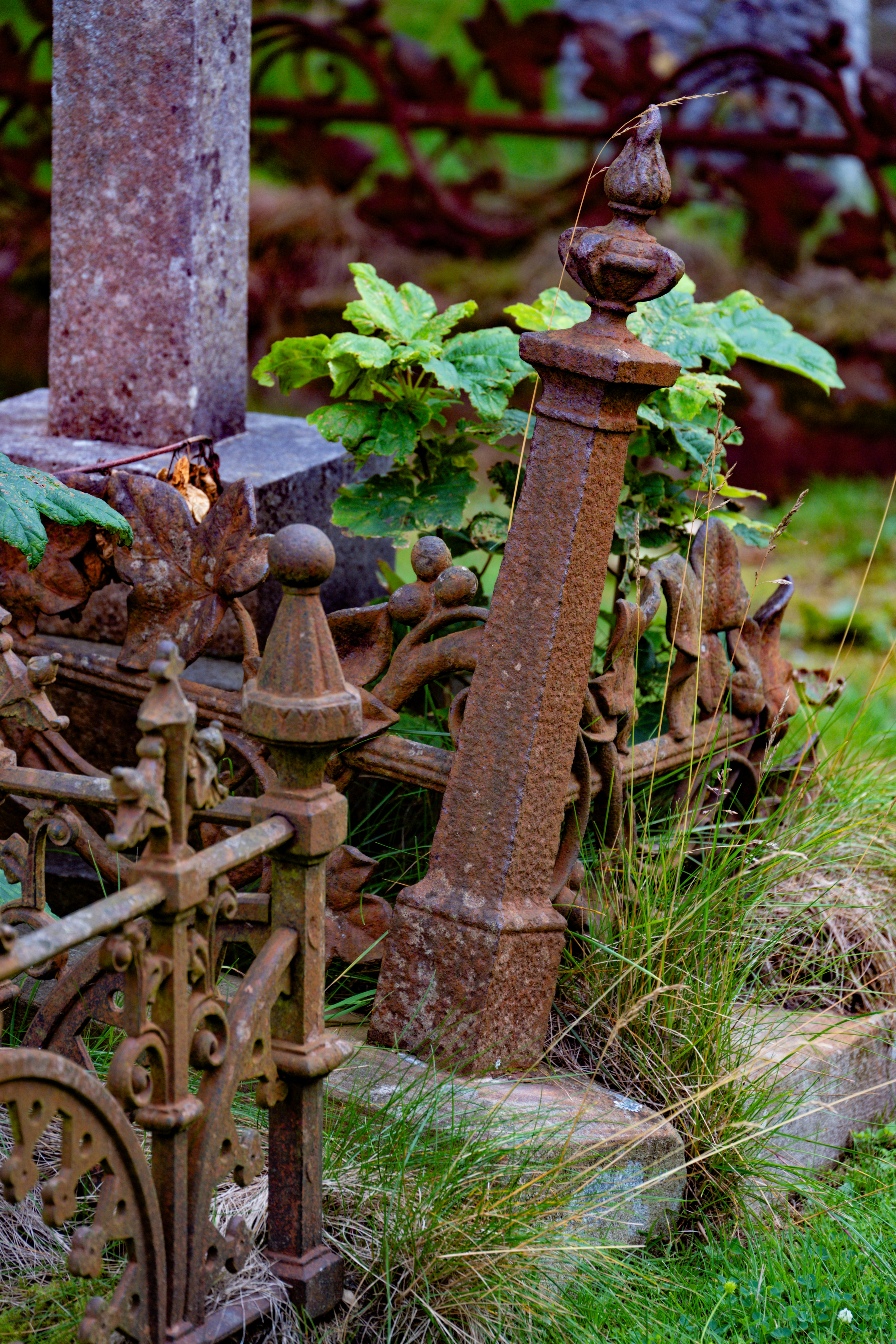 Photo by justmejuliee