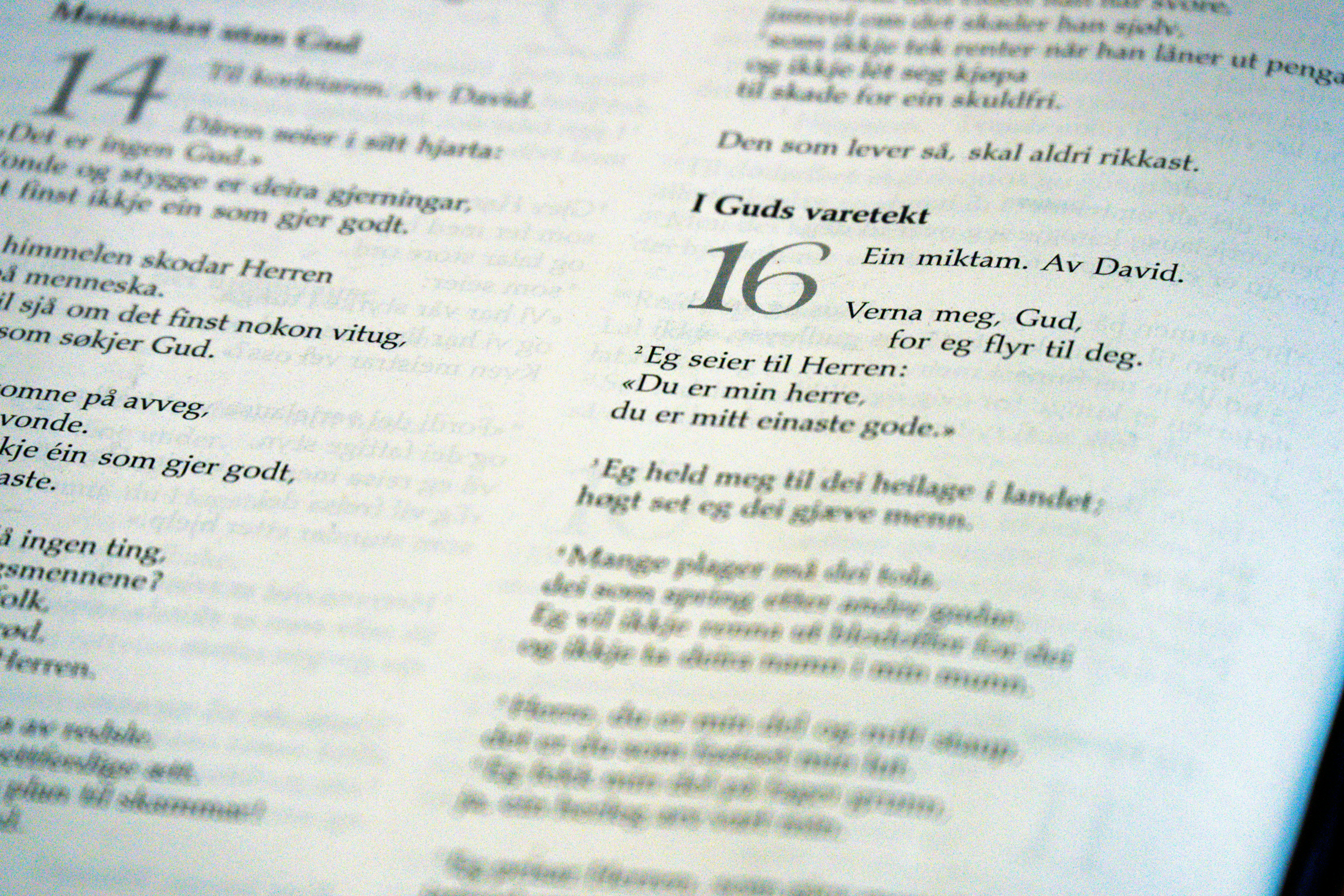 Close-up of open book with text pages.