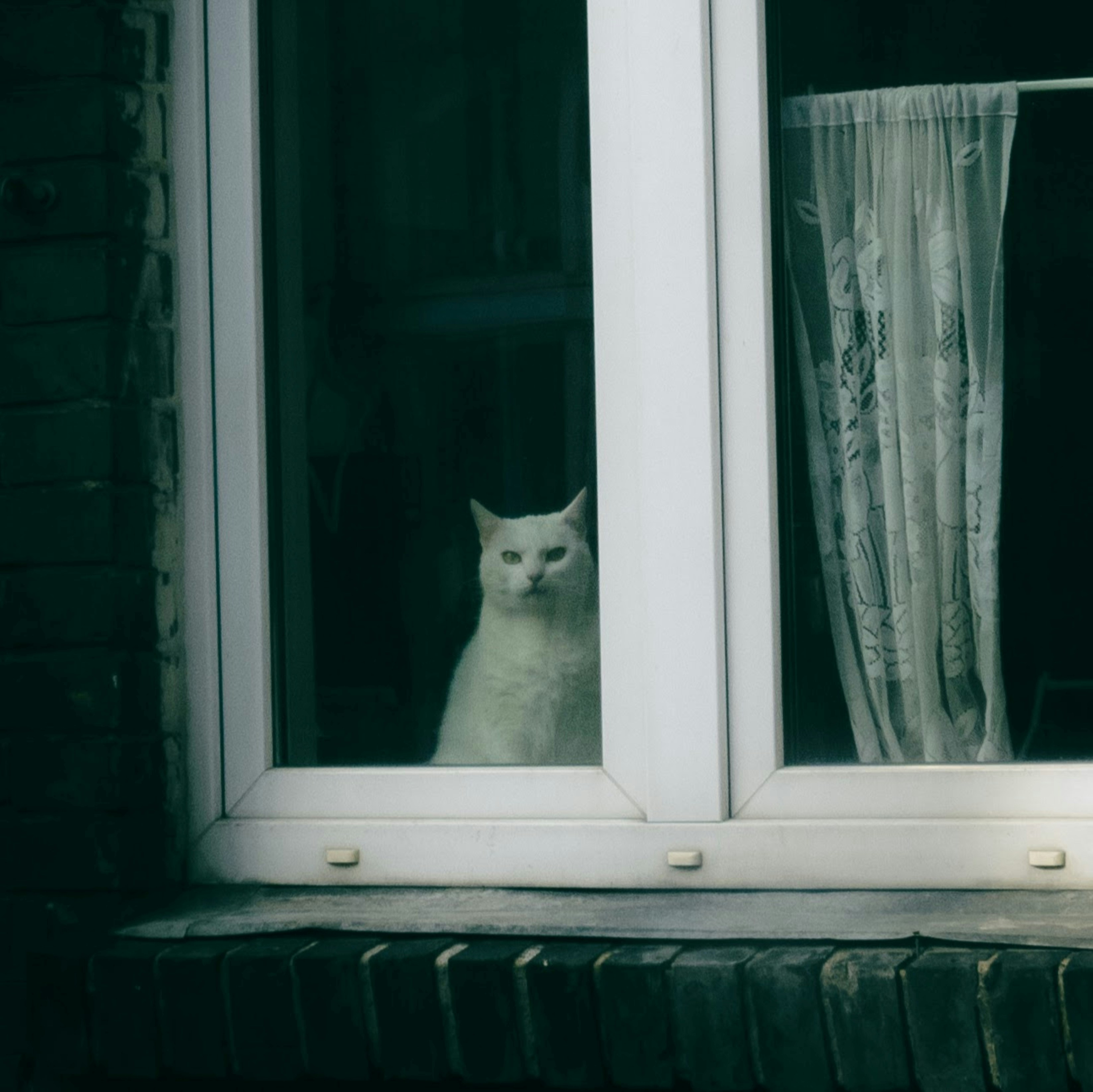 Photo by 4ratsinatrenchcoat