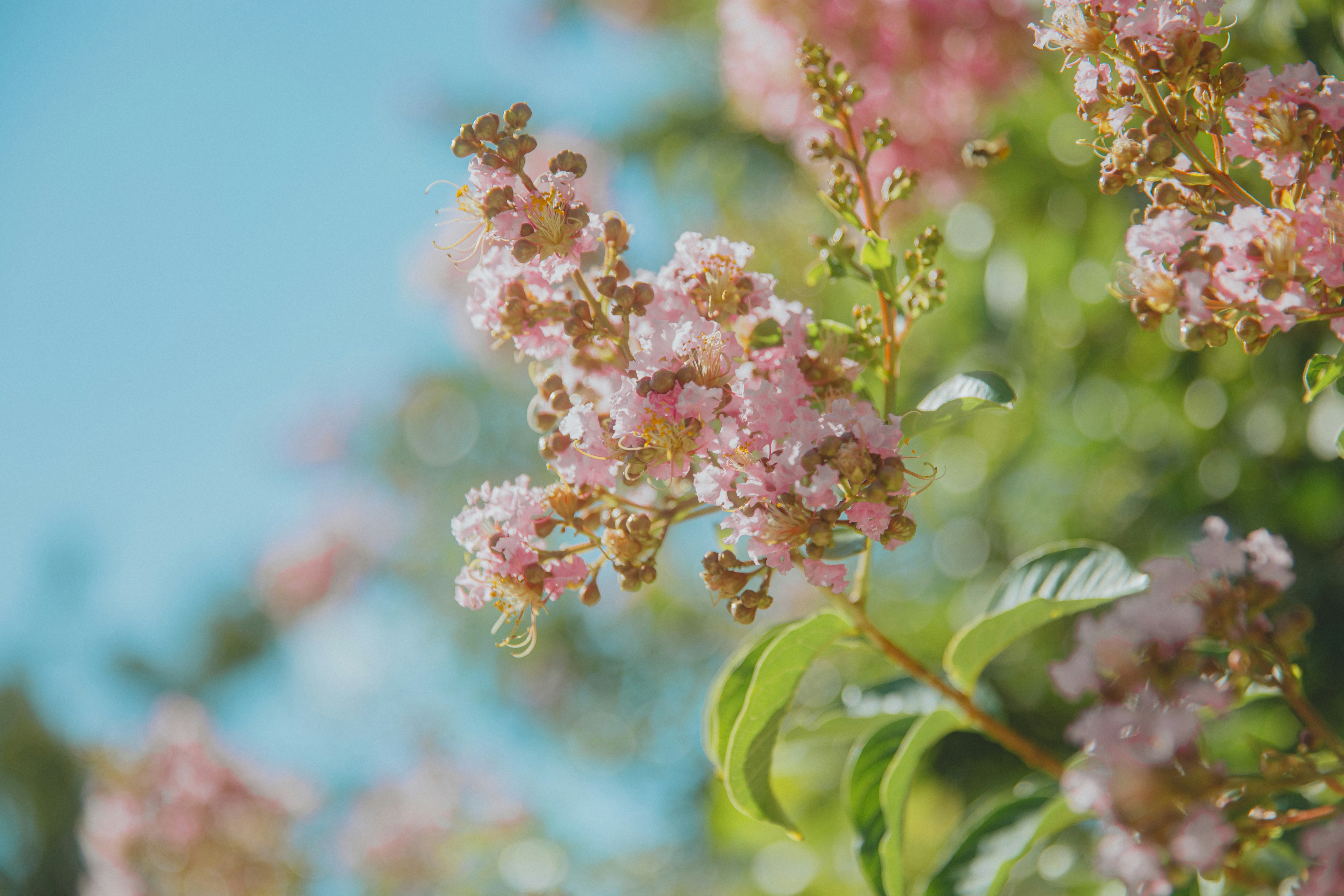 Photo by aurel_tyson