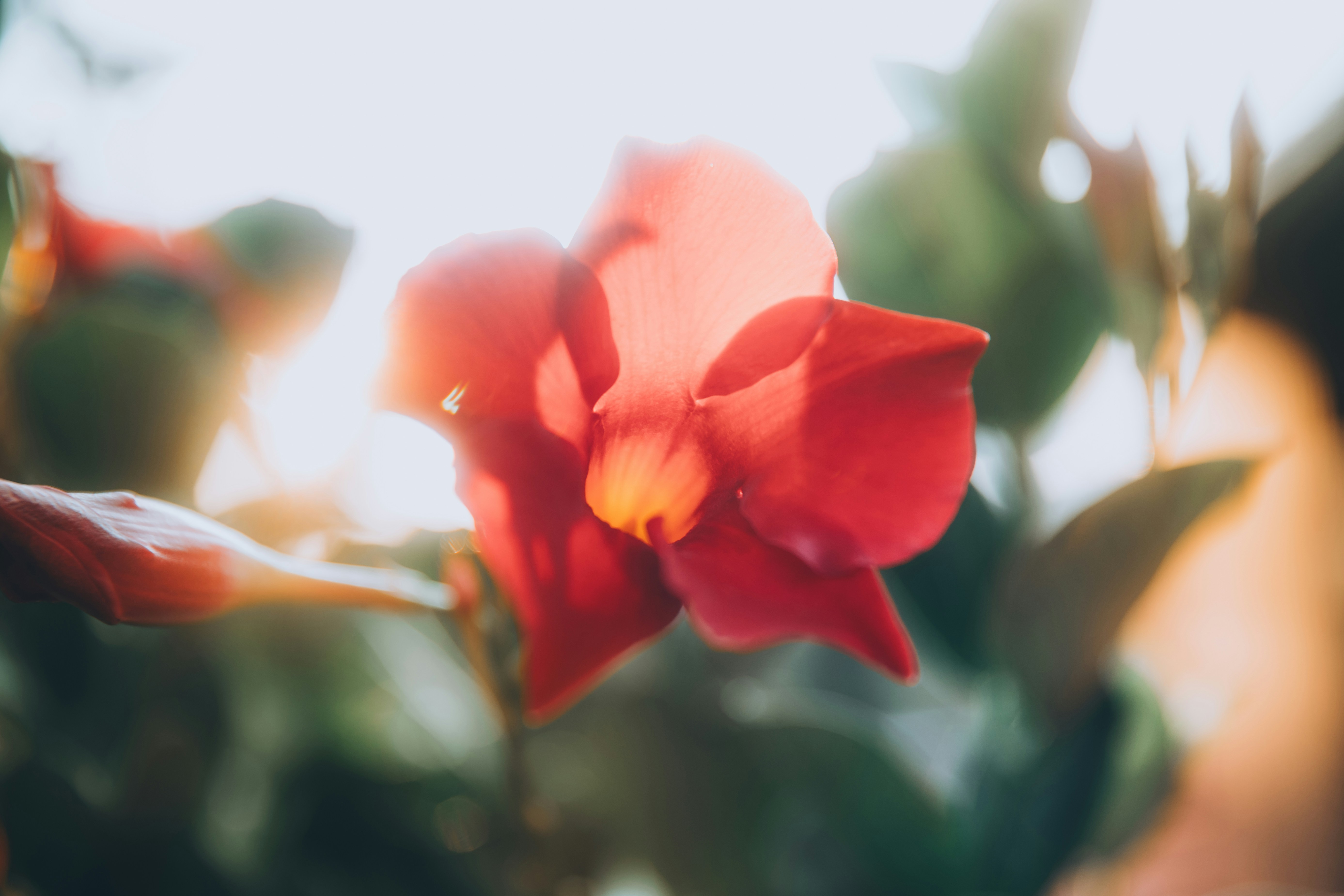 Photo by aurel_tyson