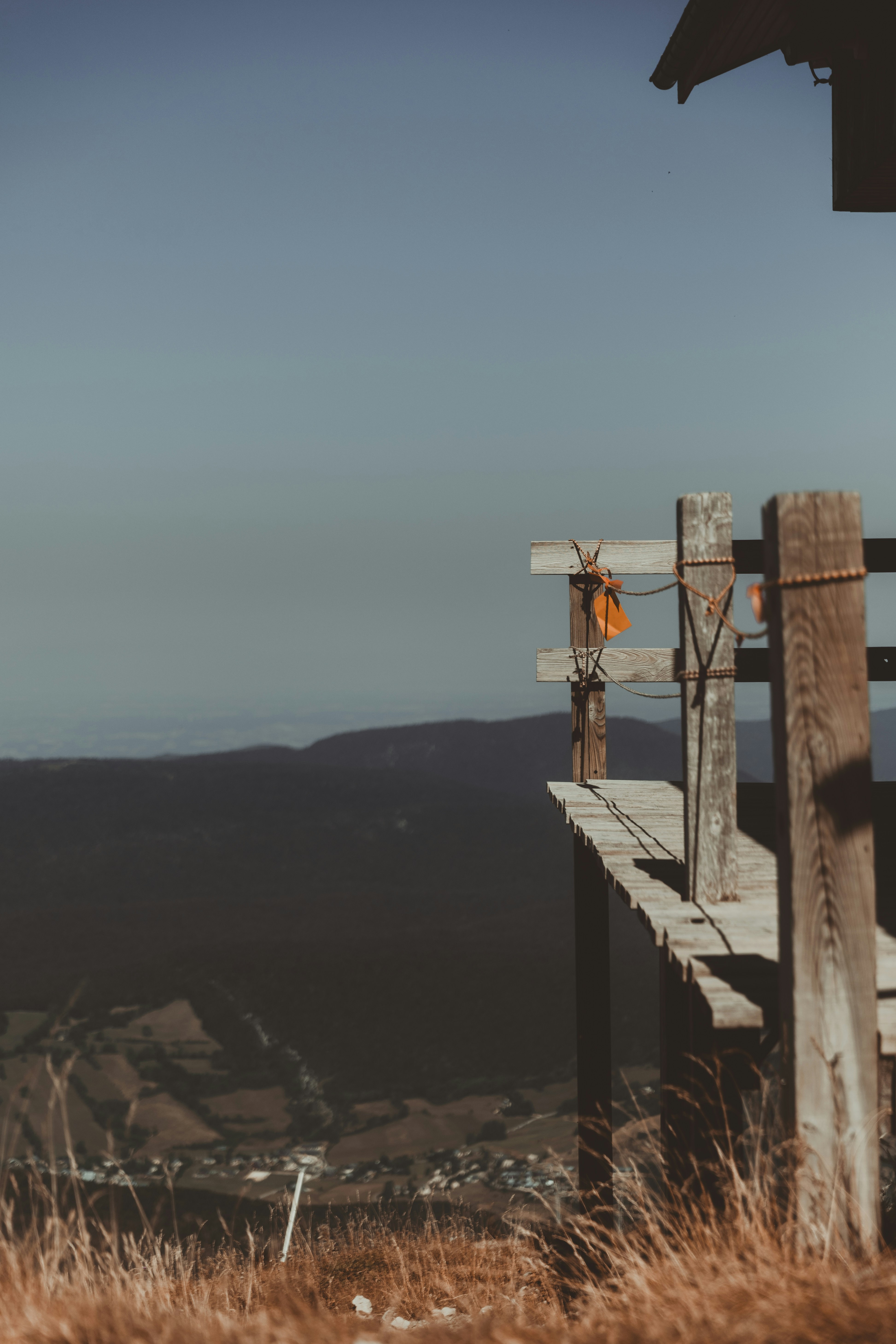 Photo by aurel_tyson