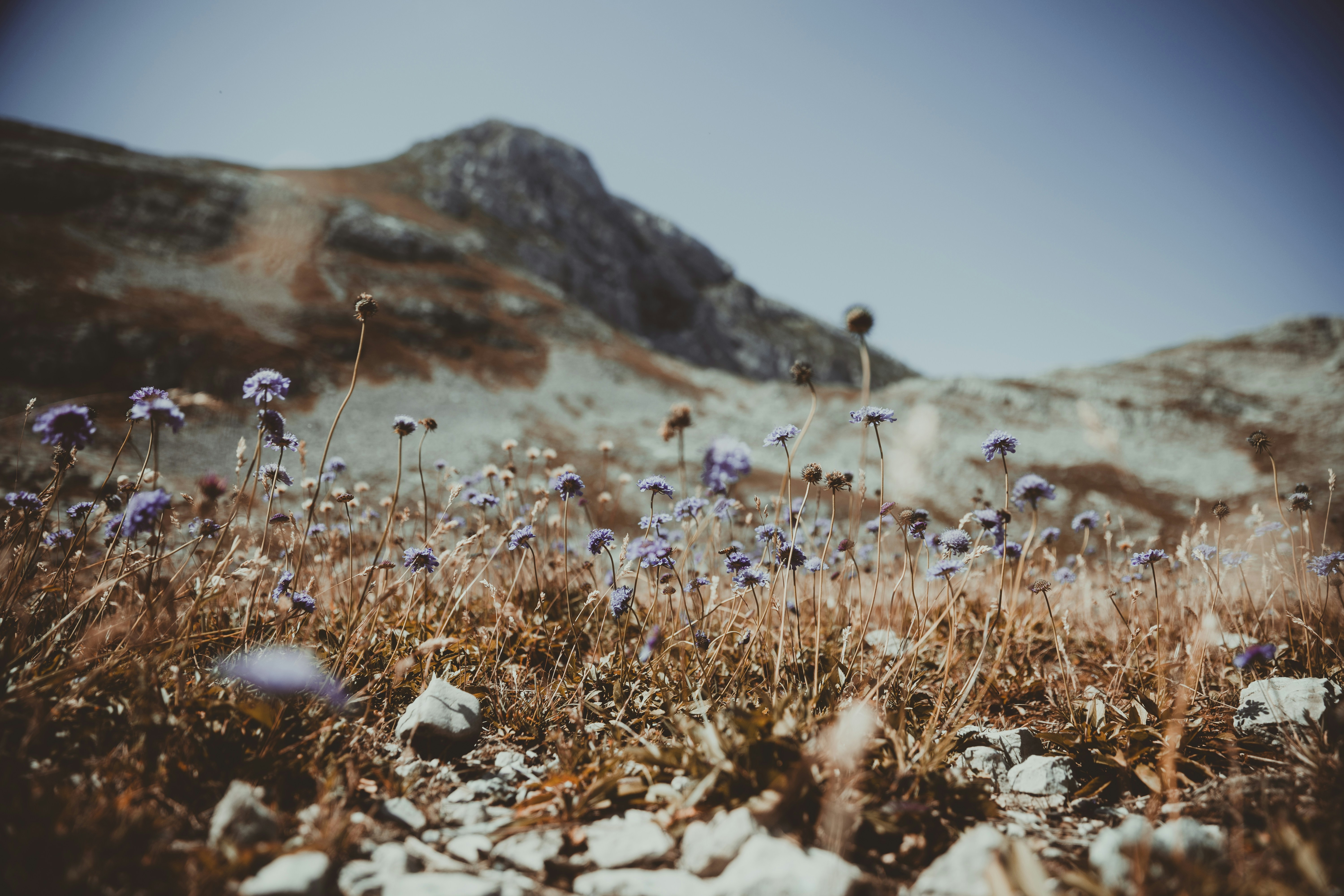 Photo by aurel_tyson