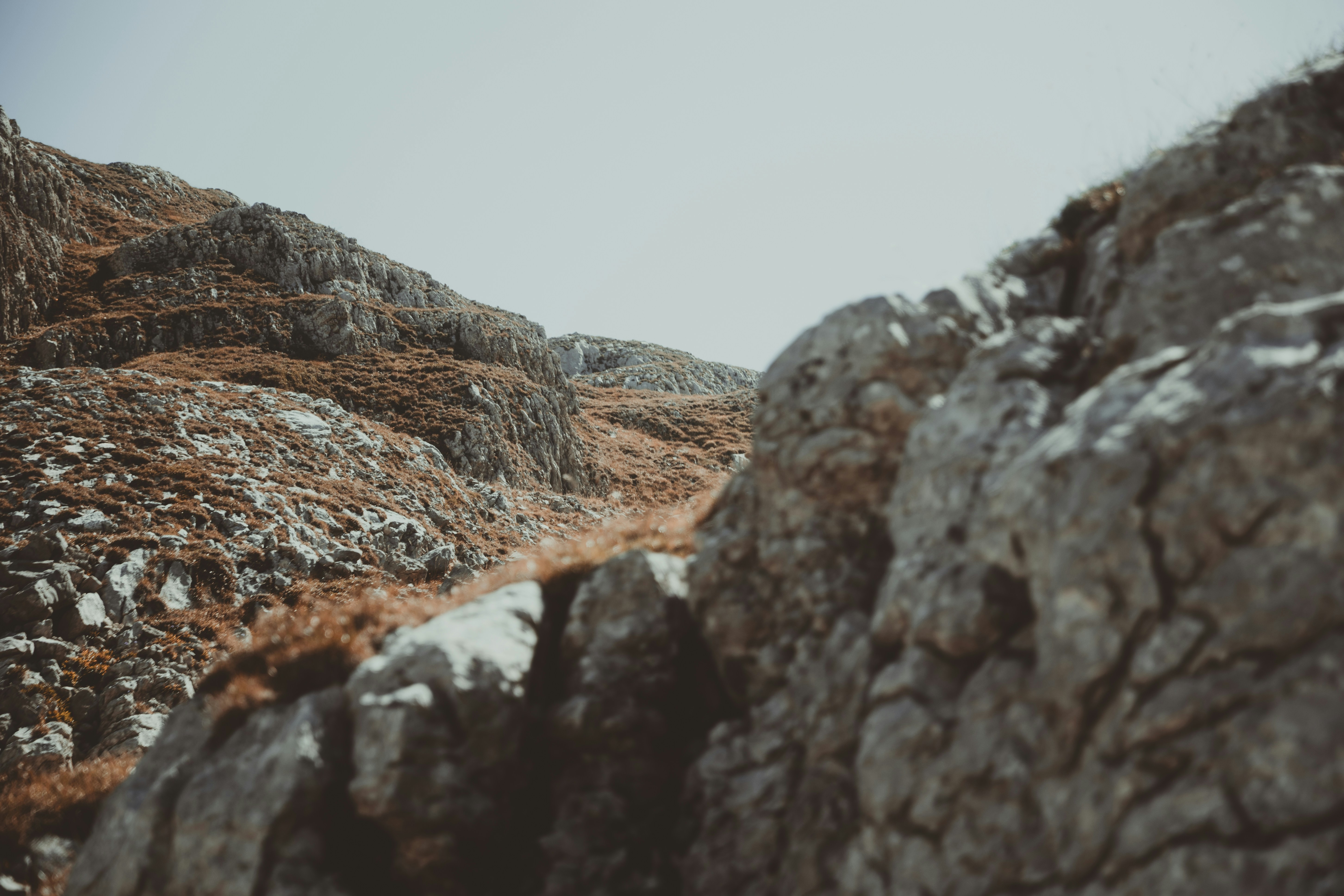 Photo by aurel_tyson