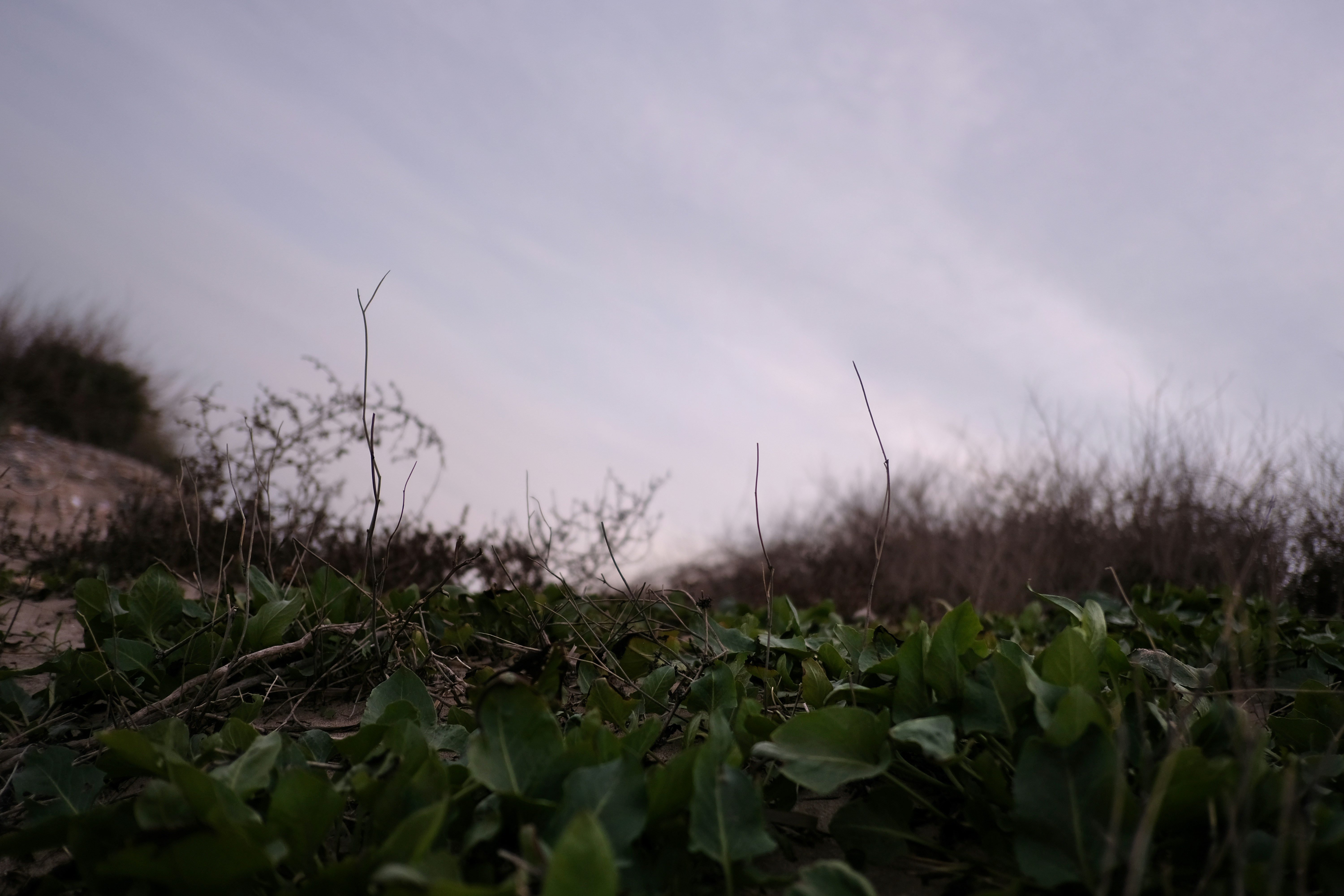 Photo by jonasgarcia