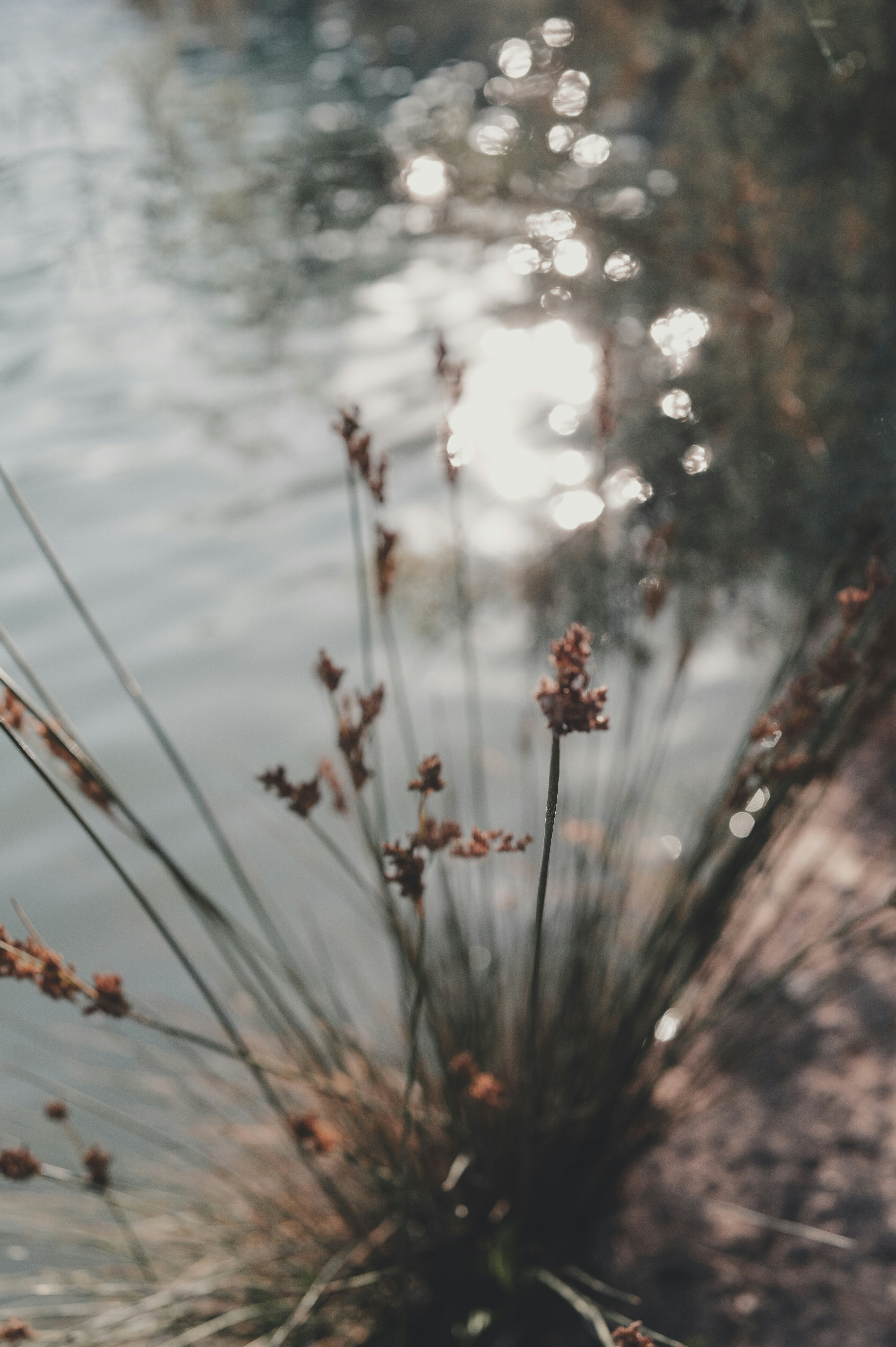 Photo by anyachernykh