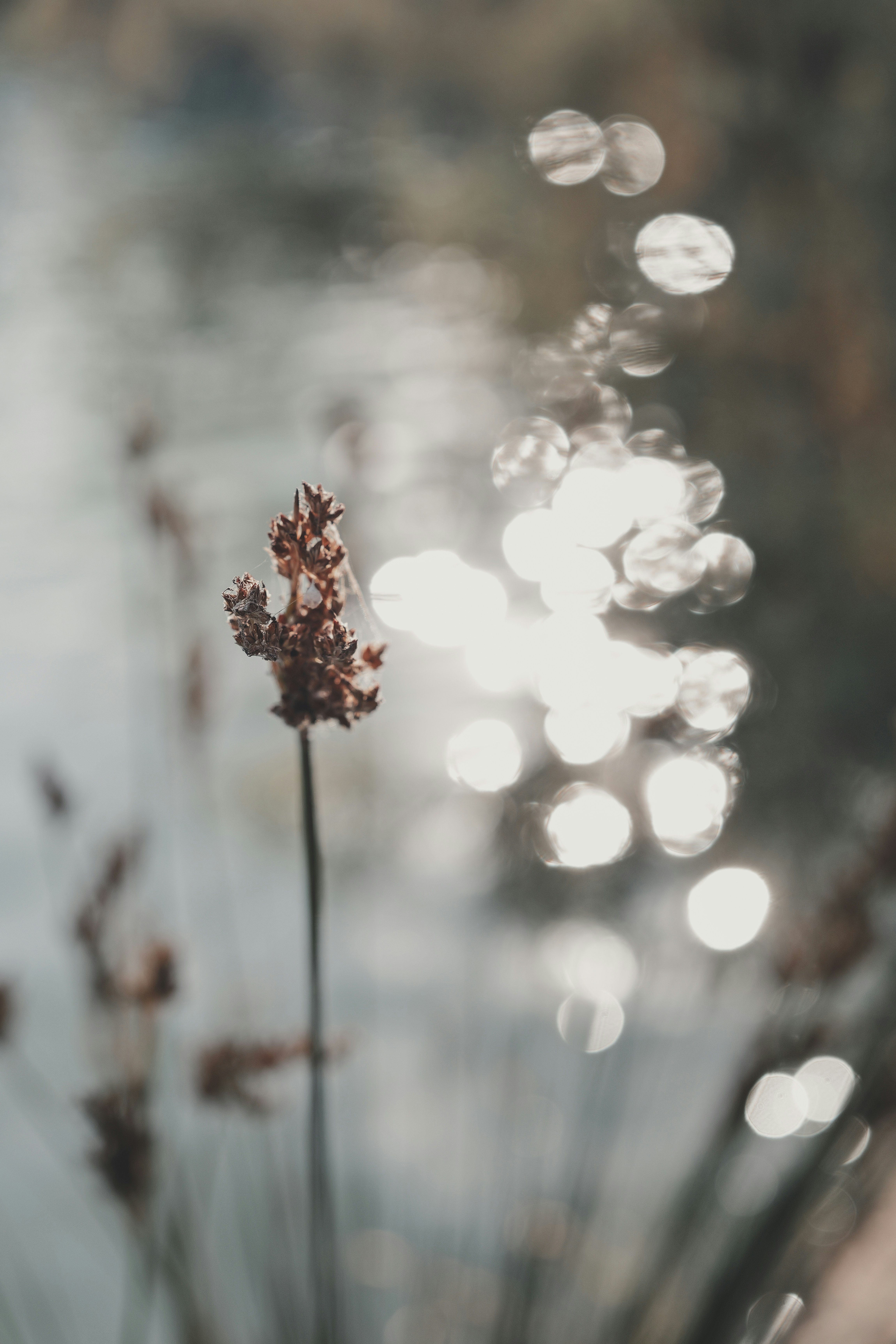 Photo by anyachernykh