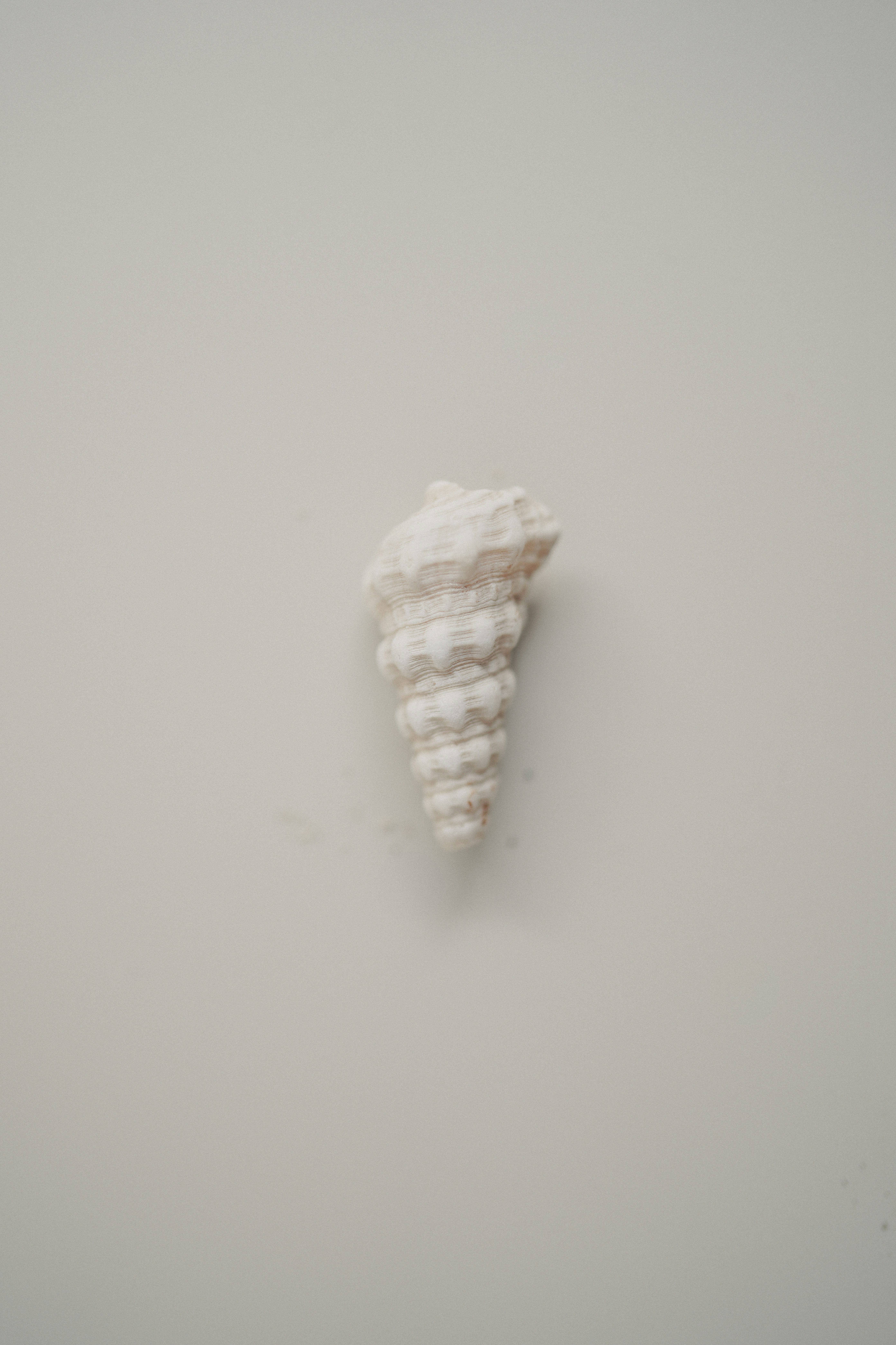 Photo by anyachernykh