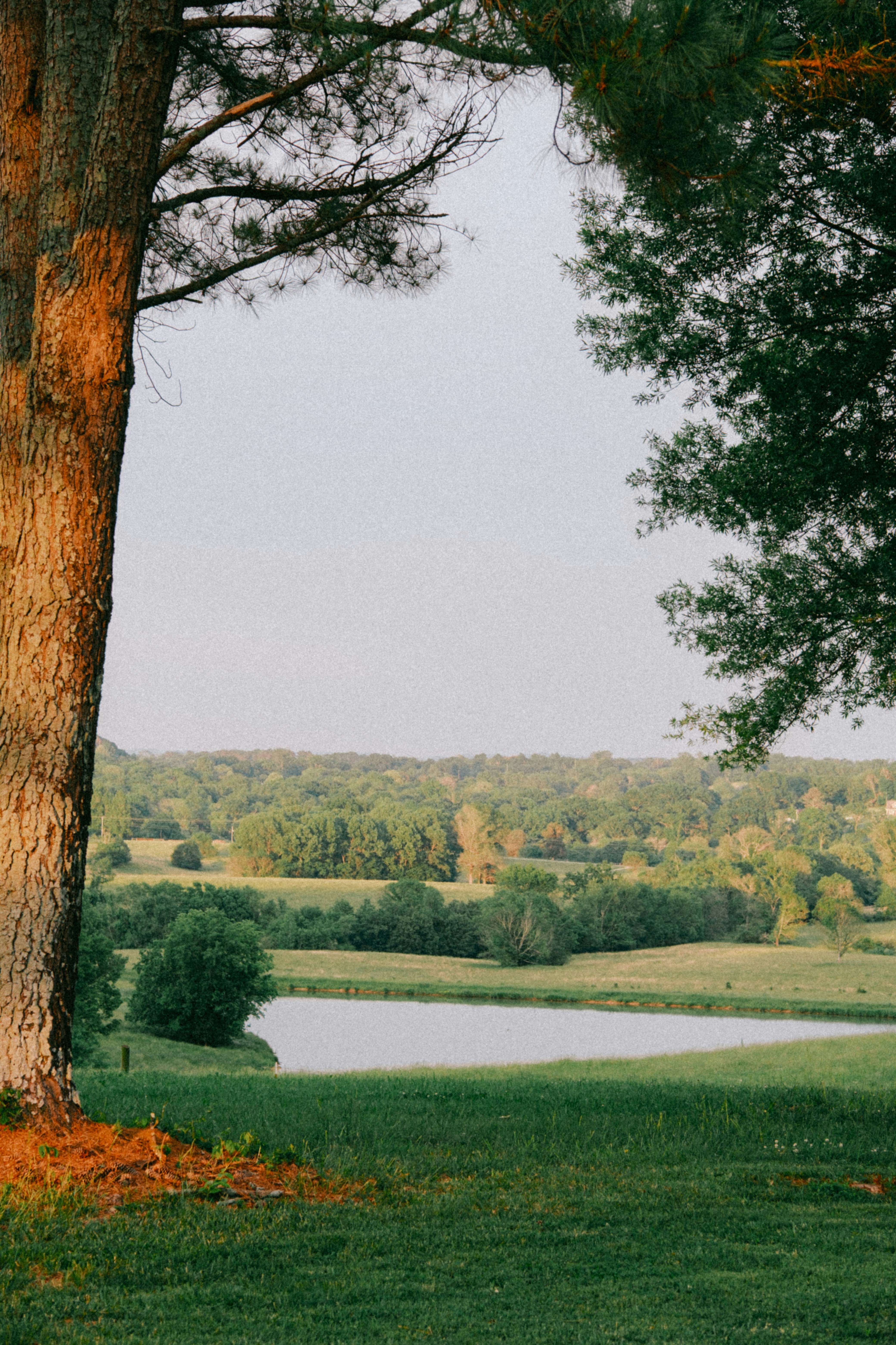 Photo by marsupialpudding