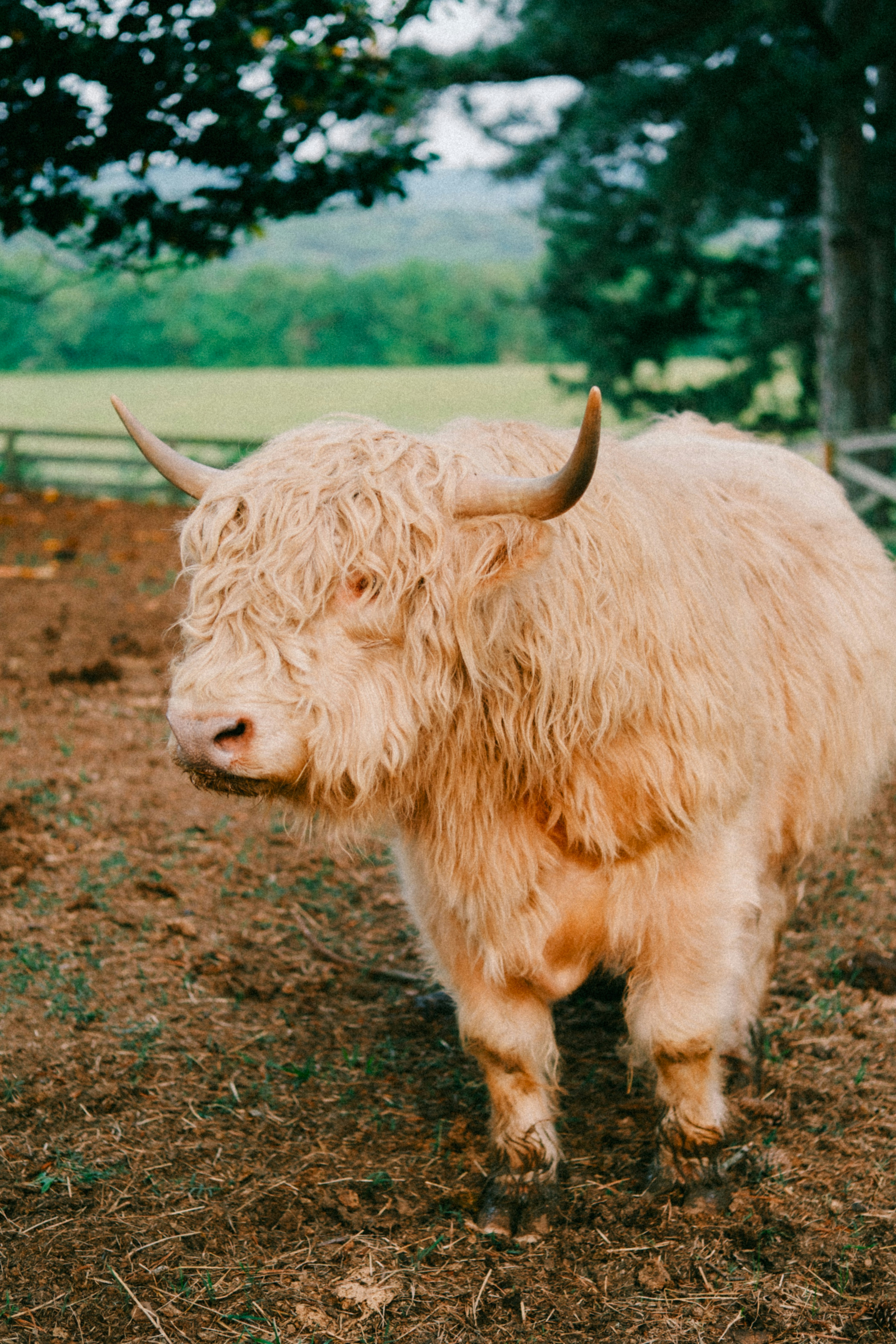 Photo by marsupialpudding