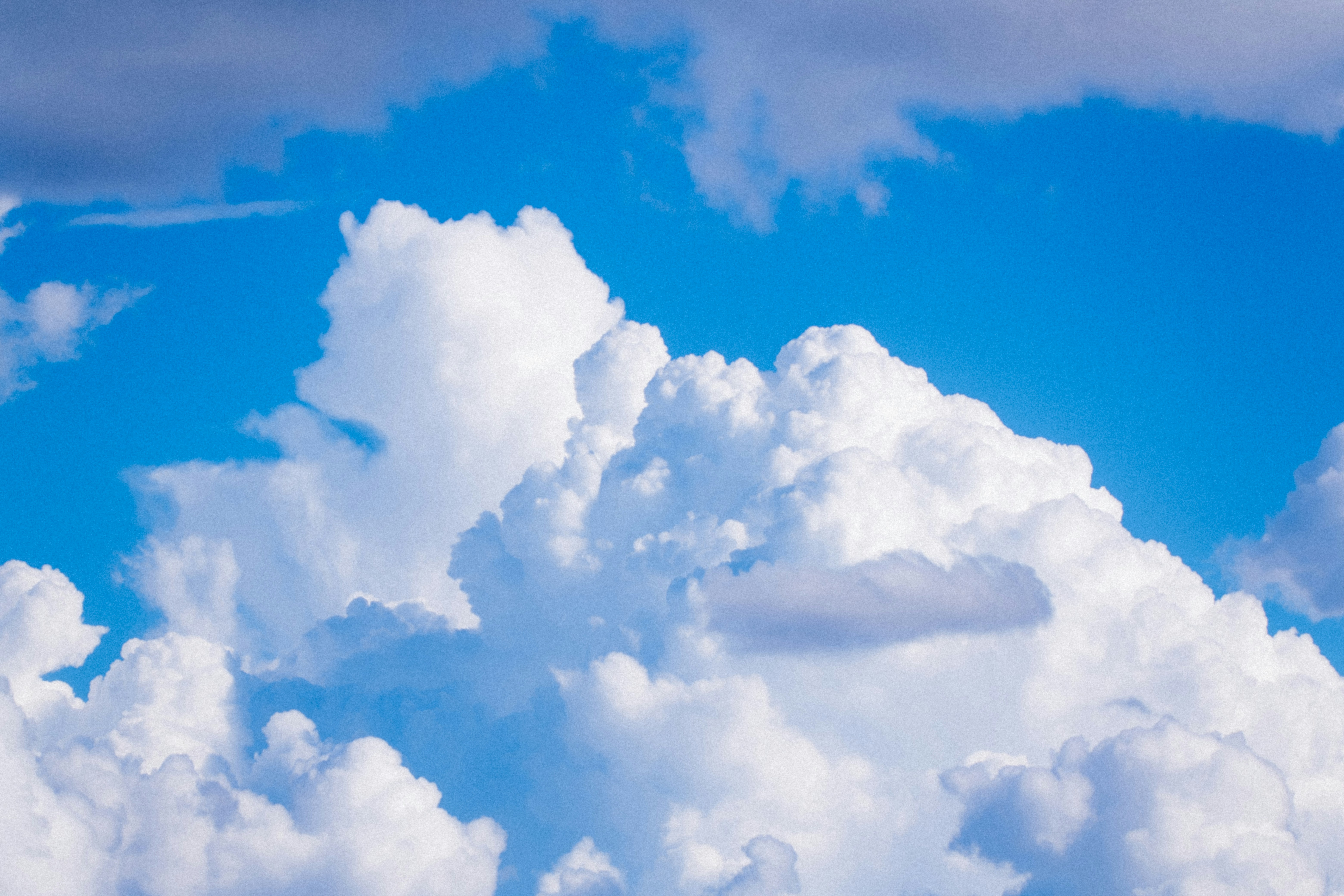 Photo by marsupialpudding