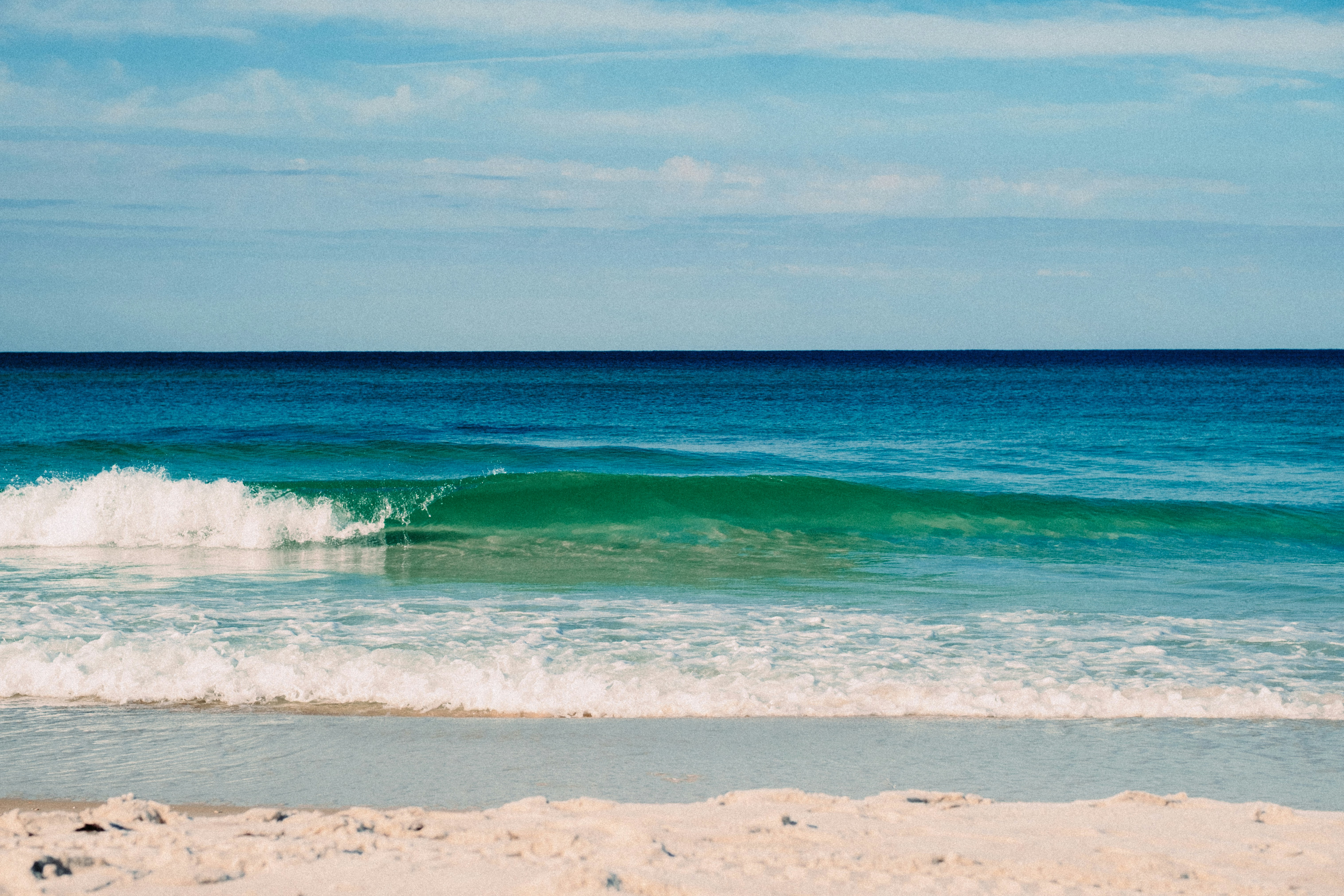 Photo by marsupialpudding