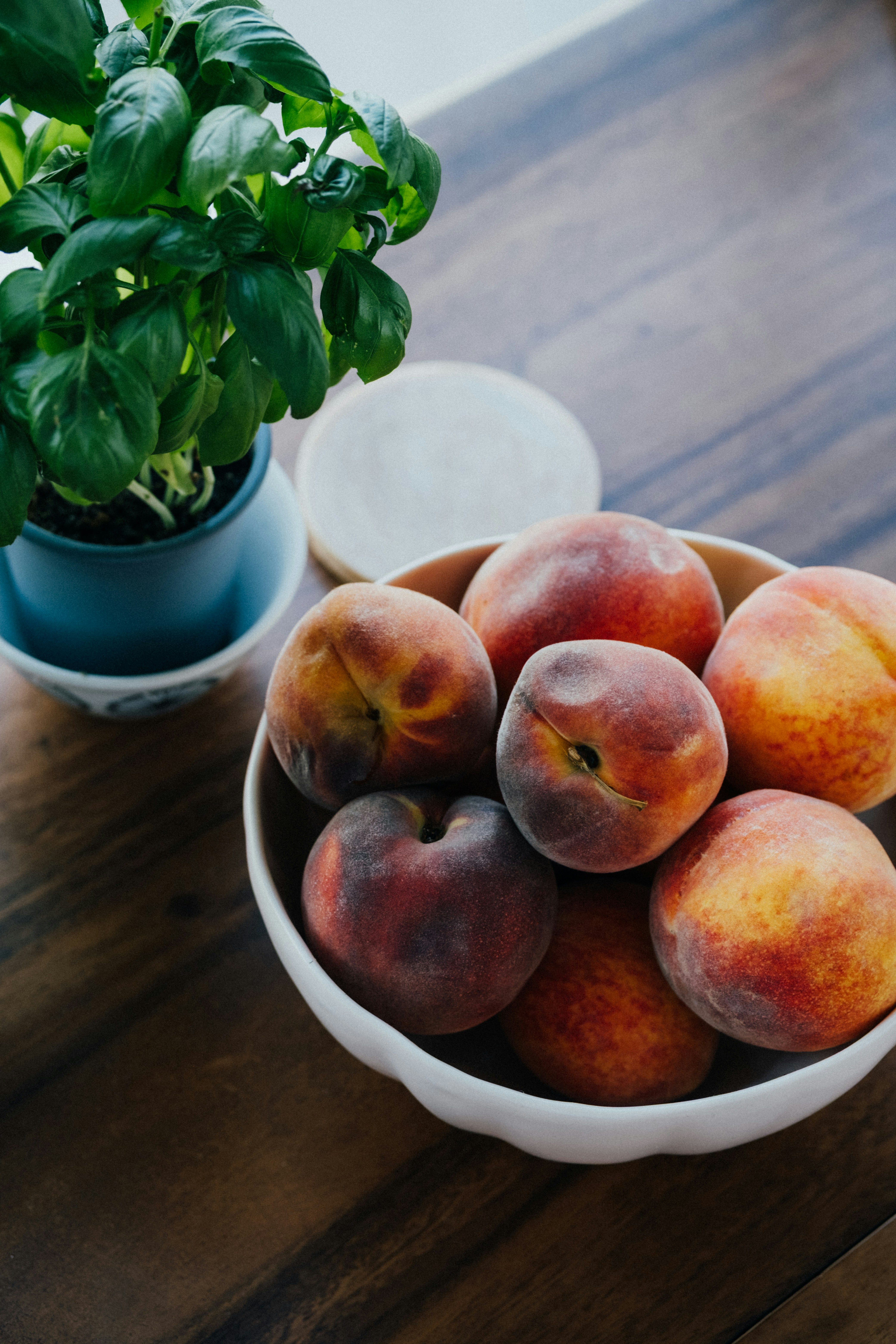 Photo by marsupialpudding