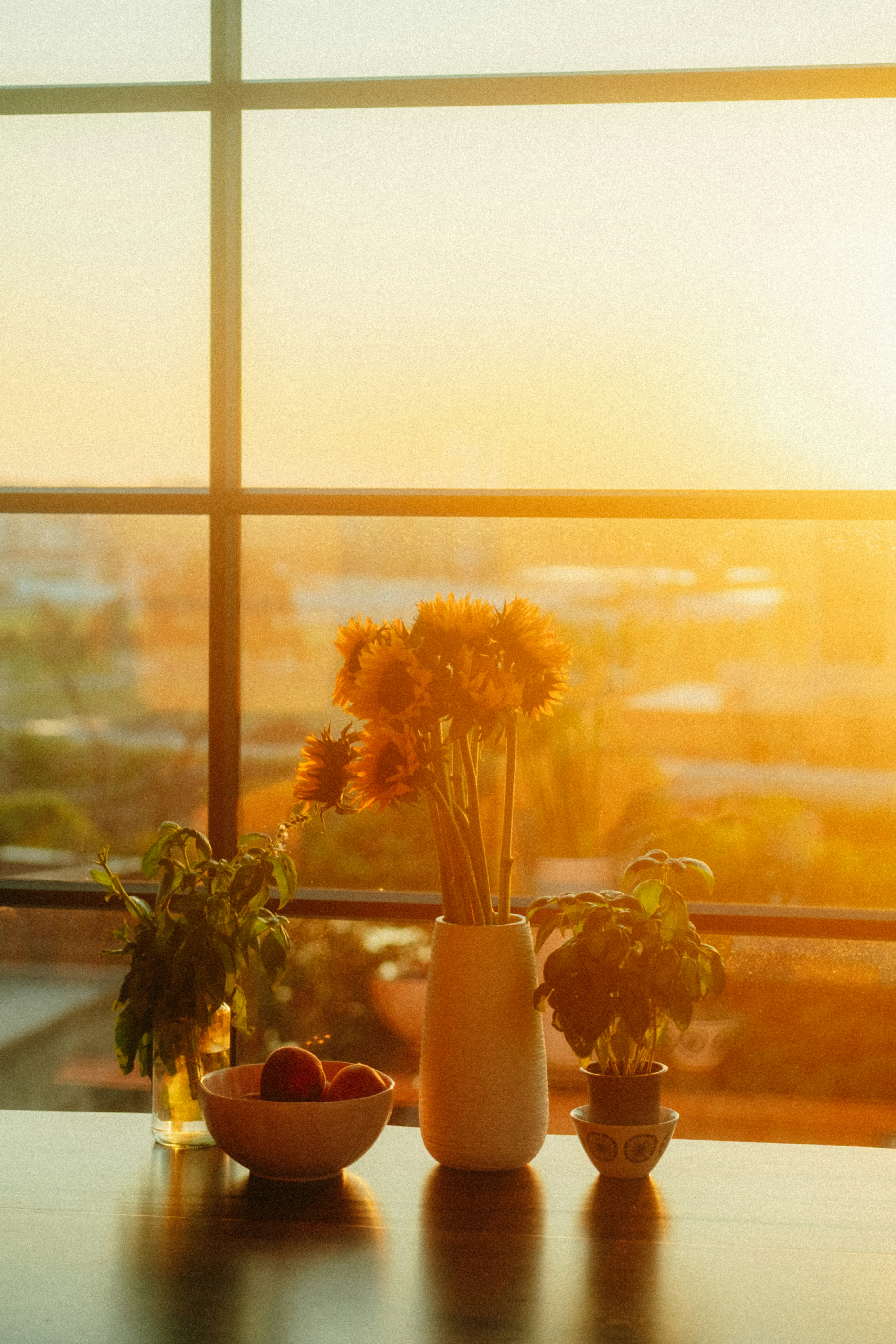 Photo by marsupialpudding