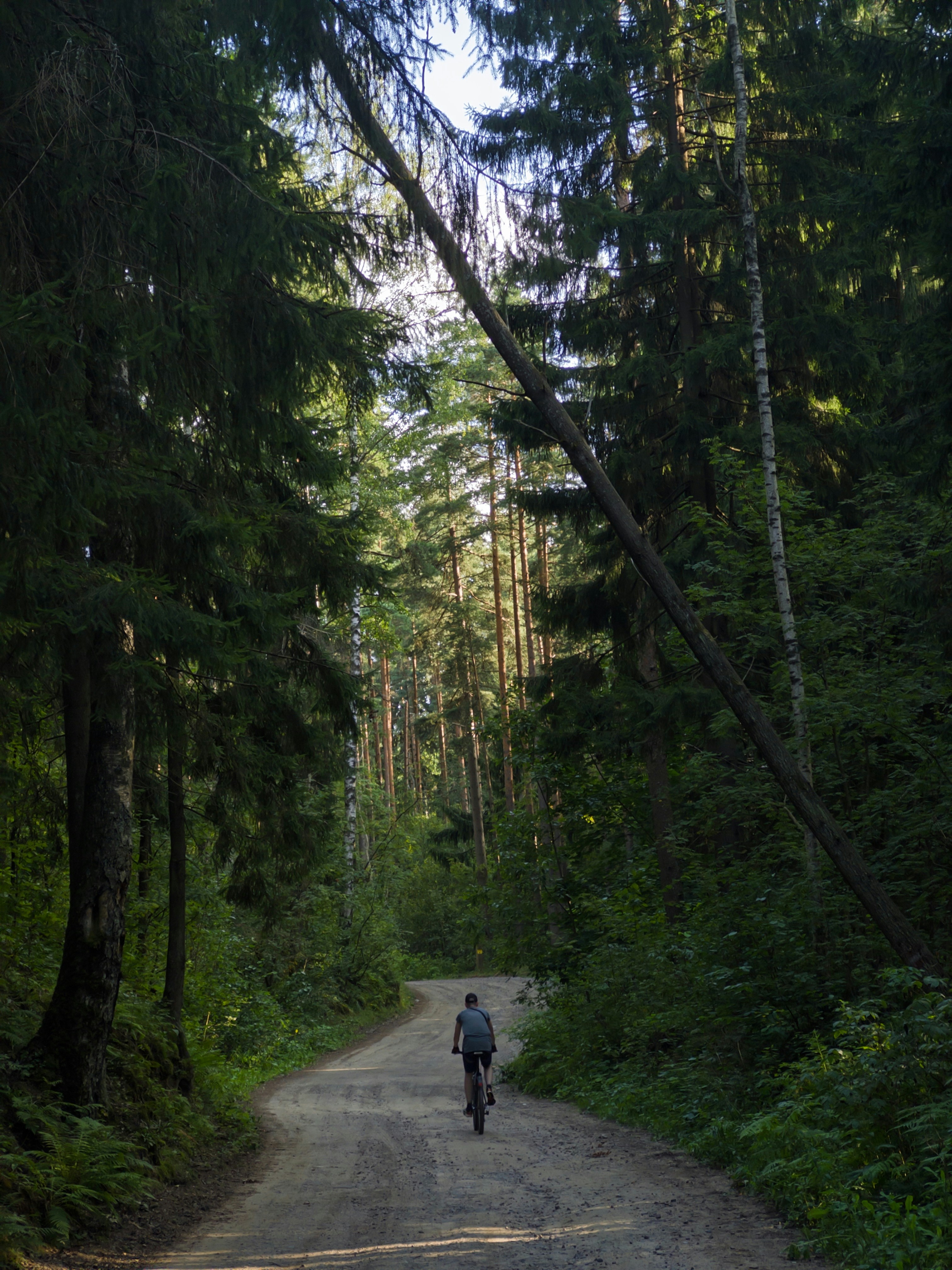 Photo by goldfinch1009