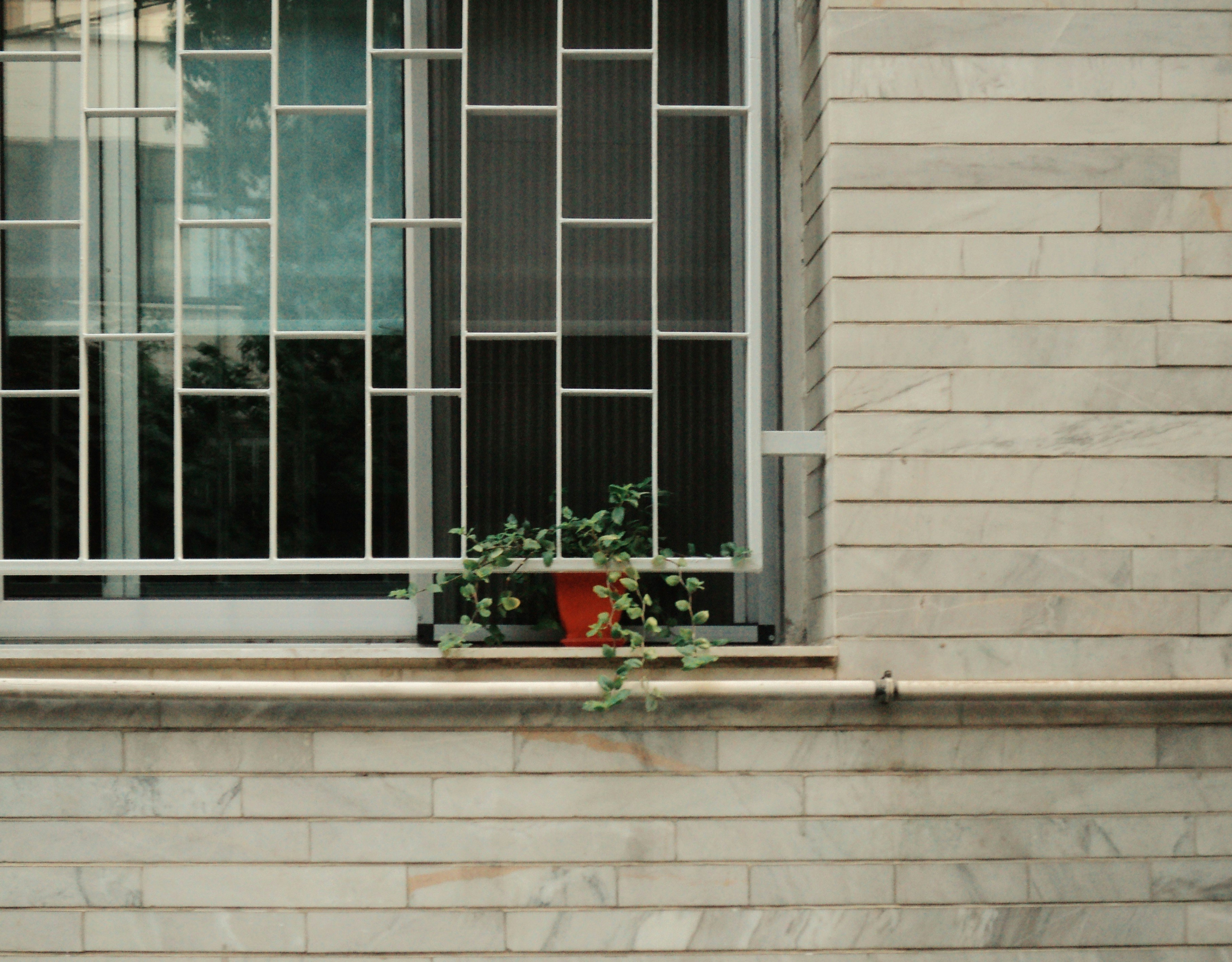 Photo by mdrezajalali