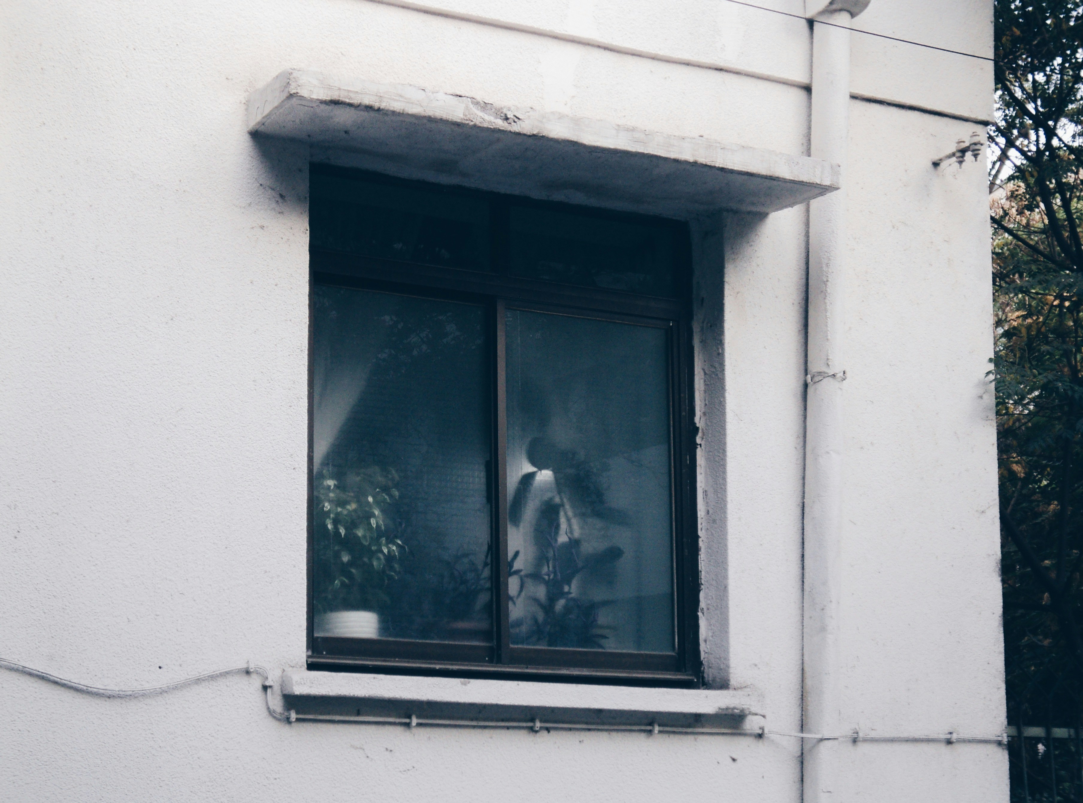 Photo by mdrezajalali